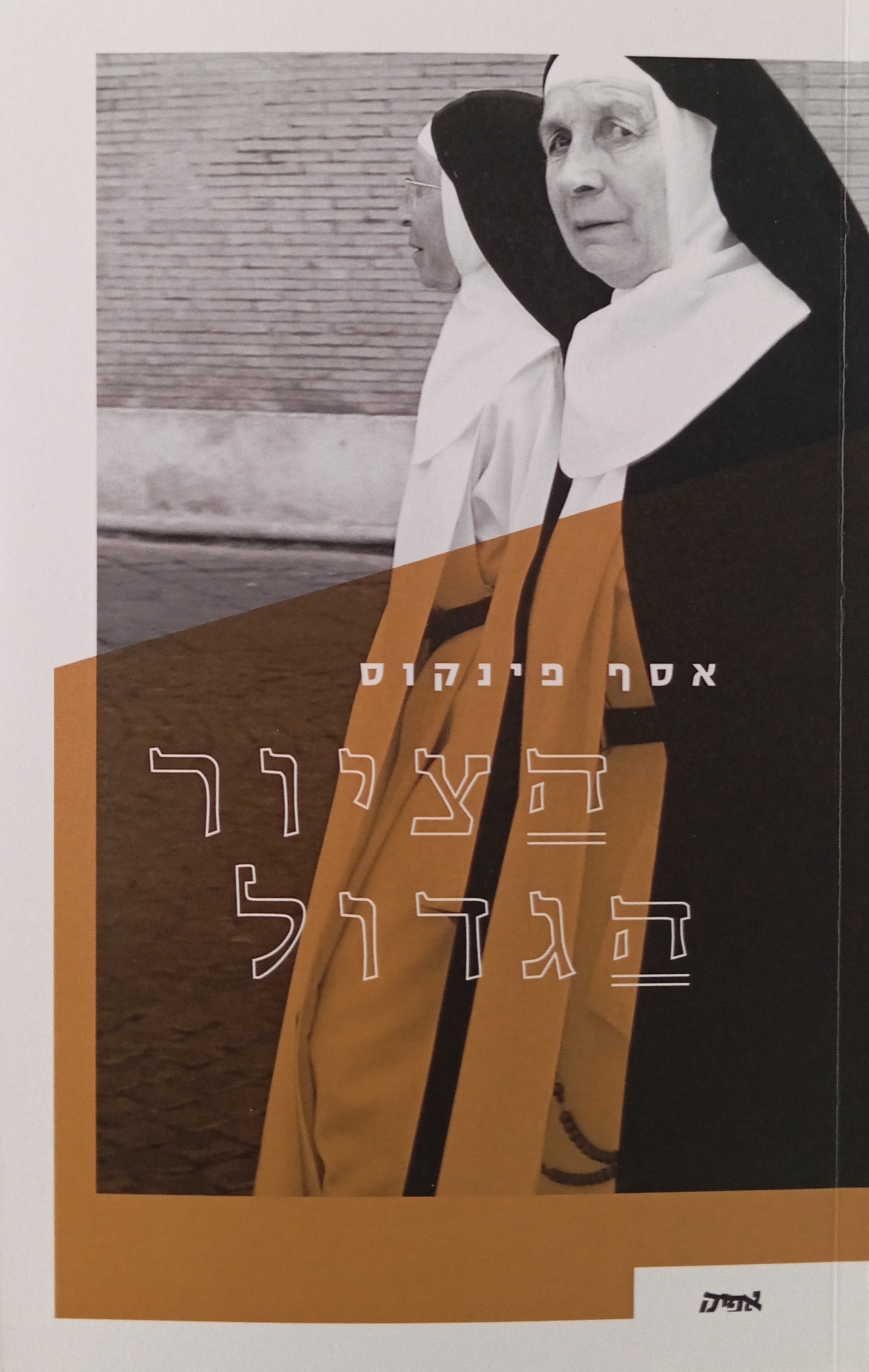 הציור הגדול: רומן היסטורי
