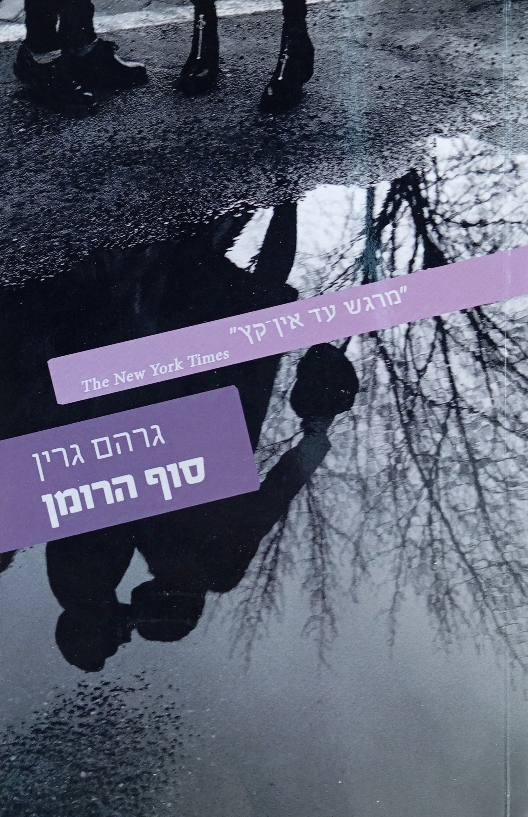 סוף הרומן