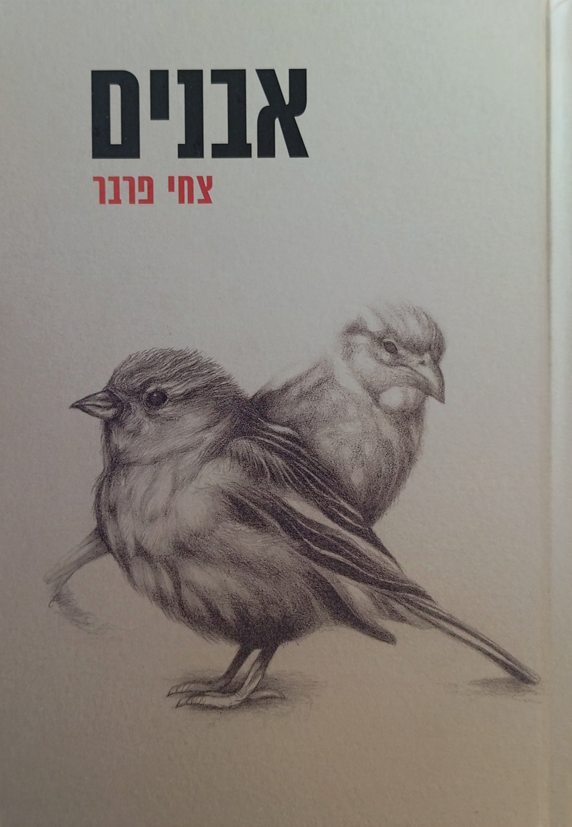 אבנים