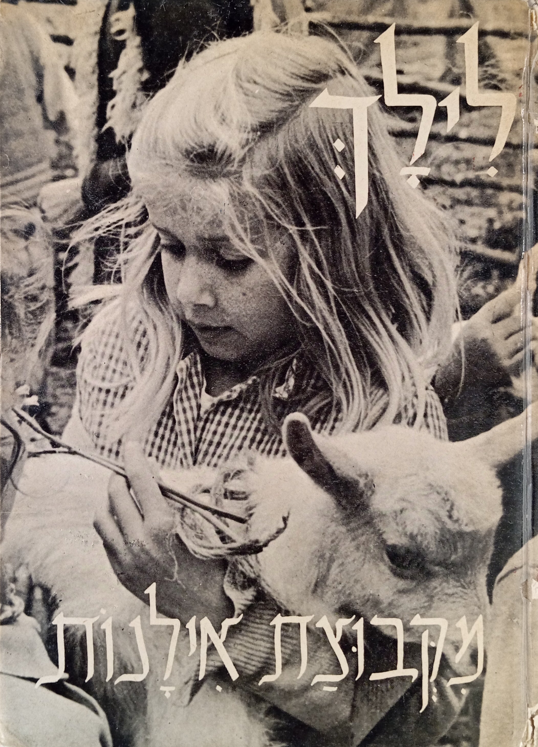 לילך מקבוצת אילנות / צילם: פטר מירום