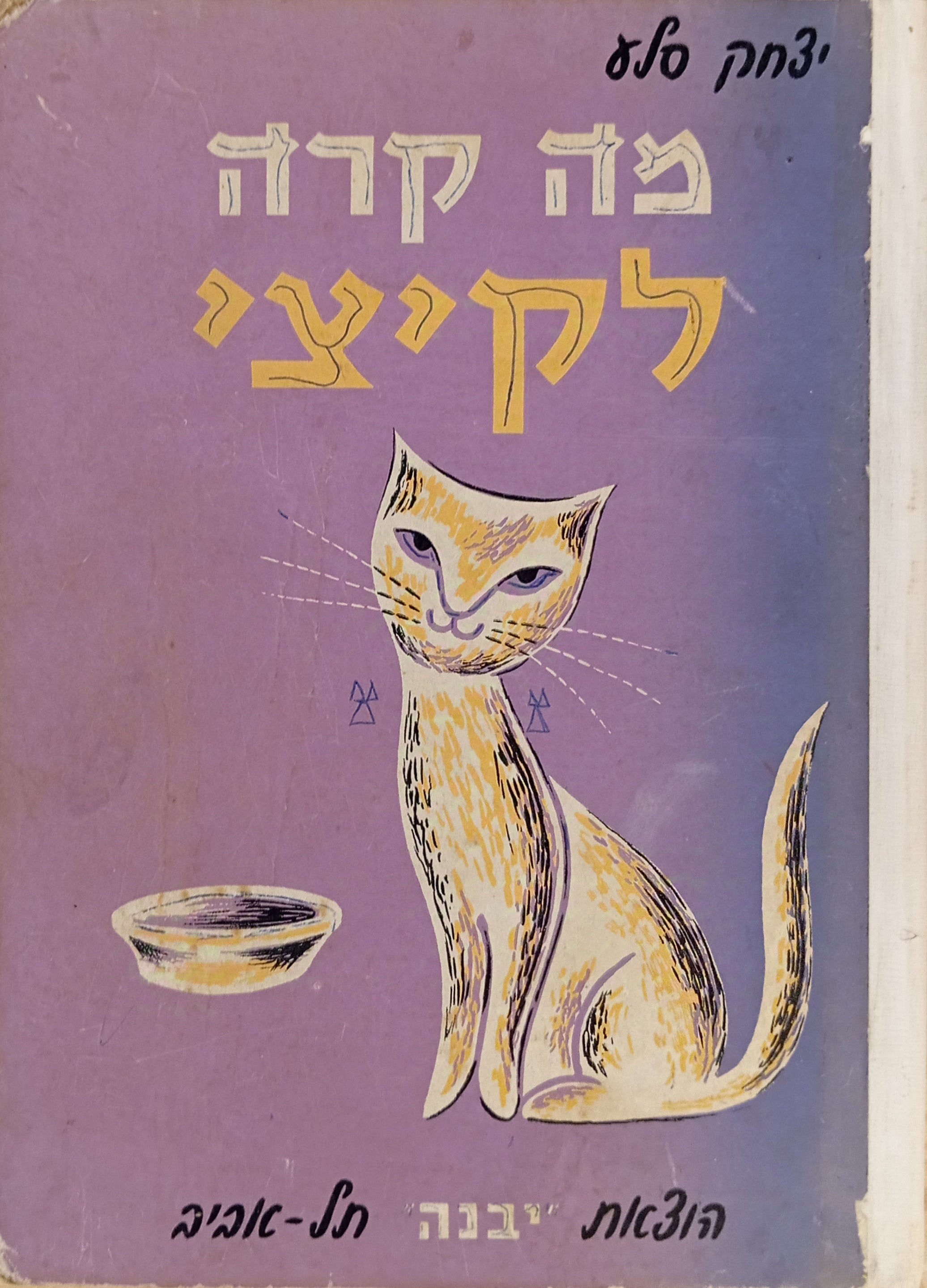 מה קרה לקיצי?