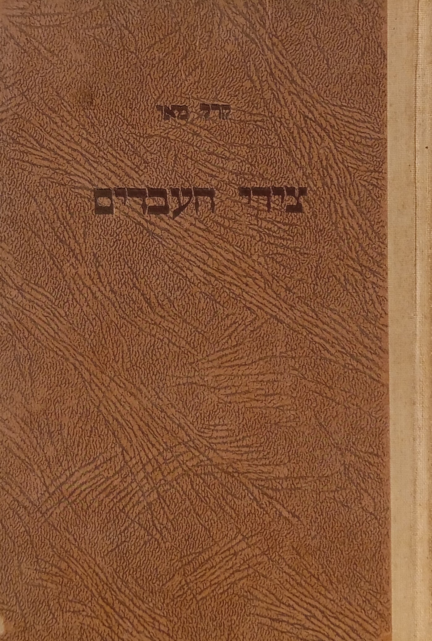 צידי העבדים: סיפור קורדיסטאן הפרועה / תרגום חיים תרסי
