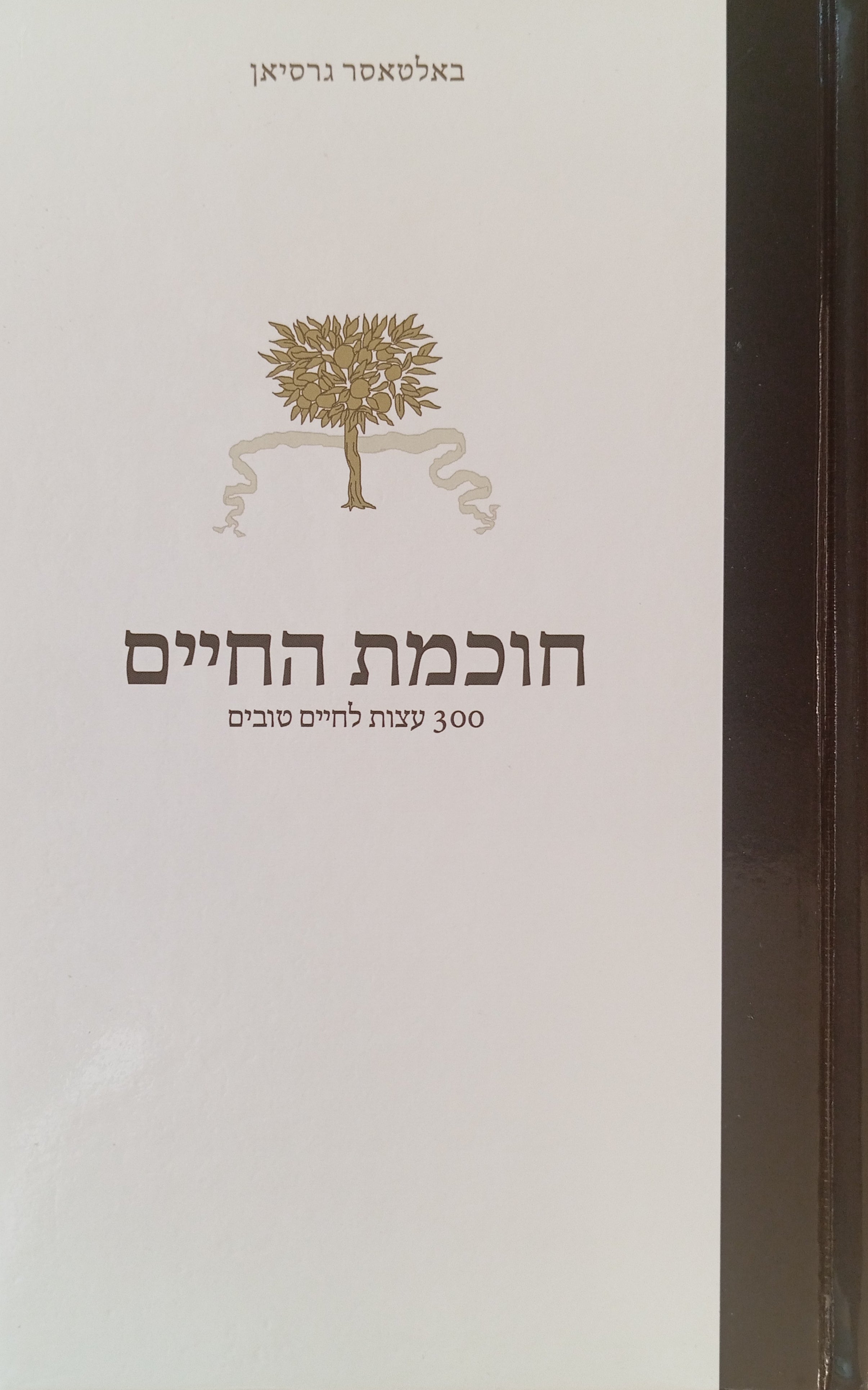 חוכמת החיים: 300 עצות לחיים טובים