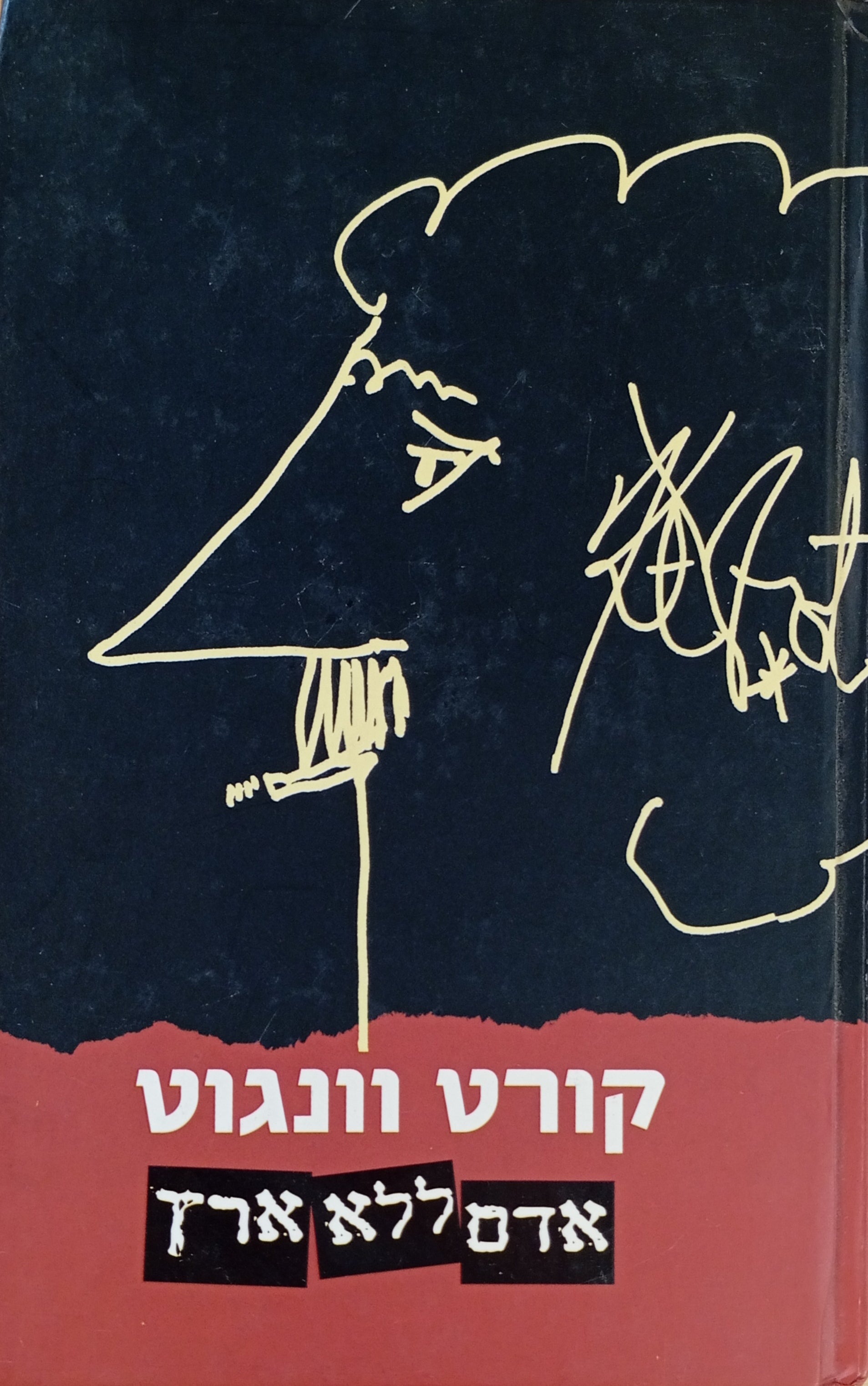 אדם ללא ארץ