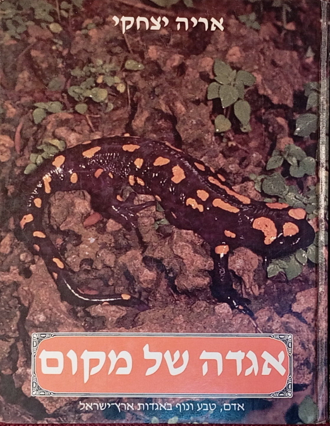 אגדה של מקום: אדם, טבע ונוף באגדות ארץ-ישראל / כרר ב'