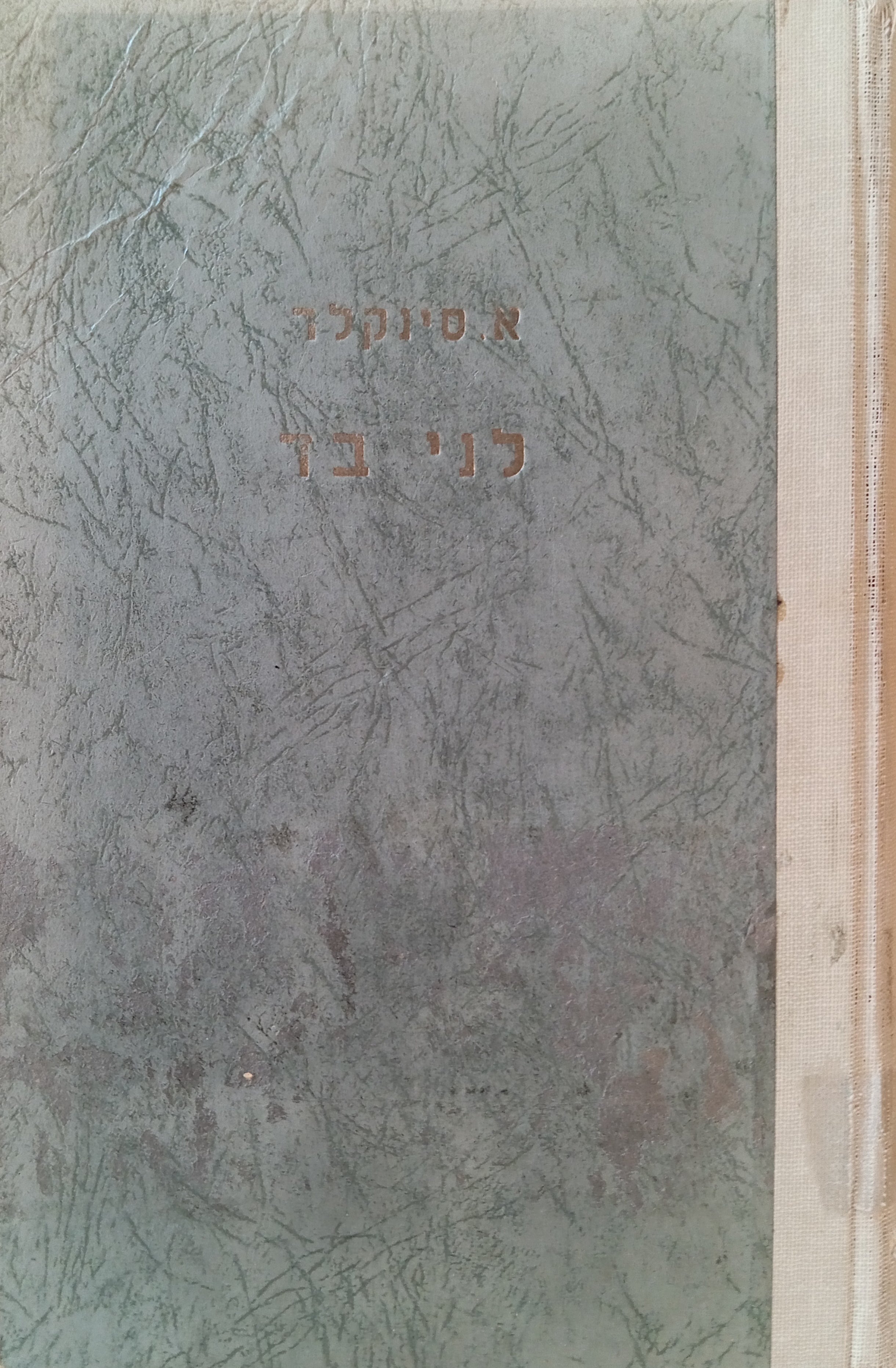 לני בד: רומן / תרגום זאב הרטבי