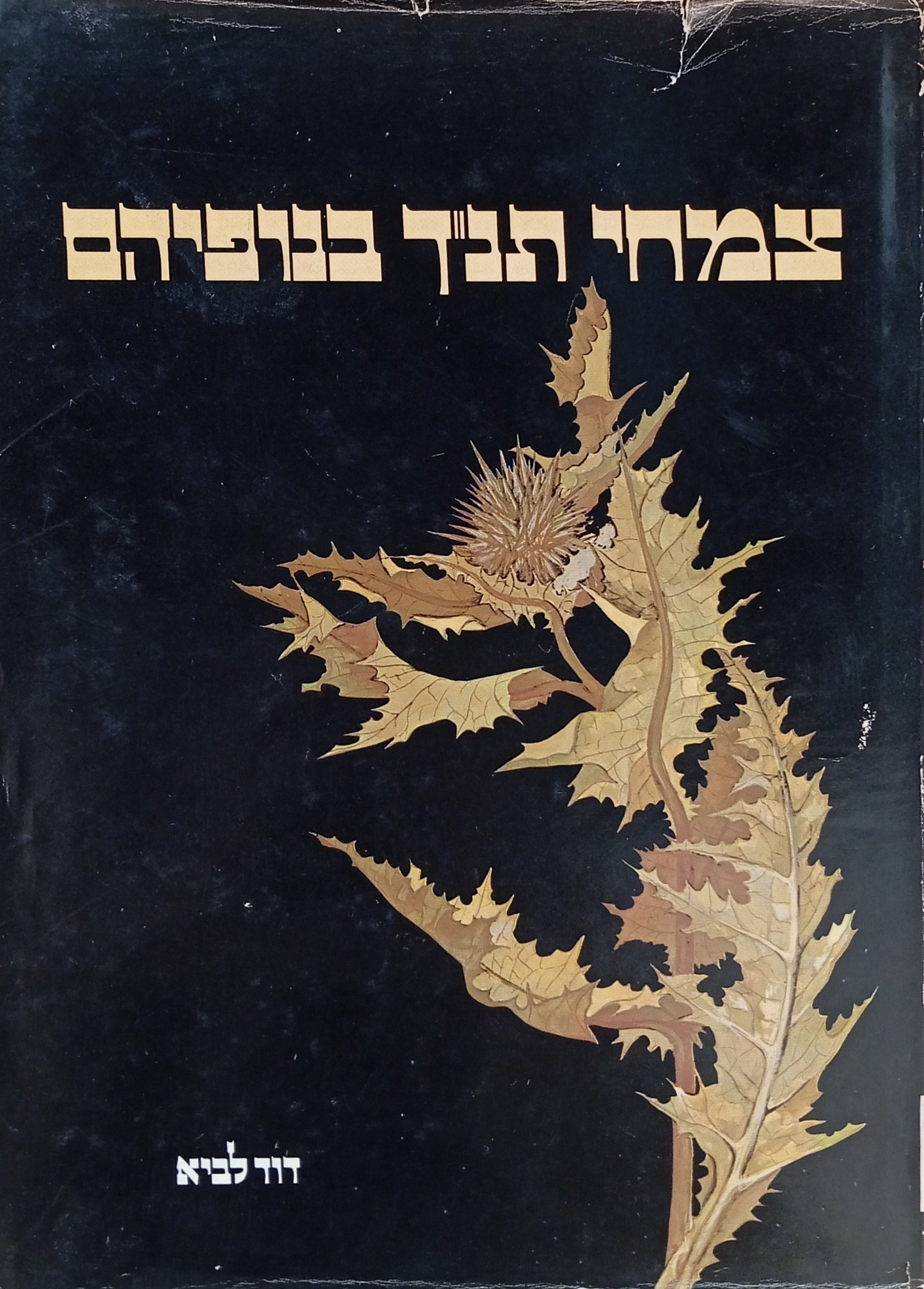 צמחי תנ"ך בנופיהם