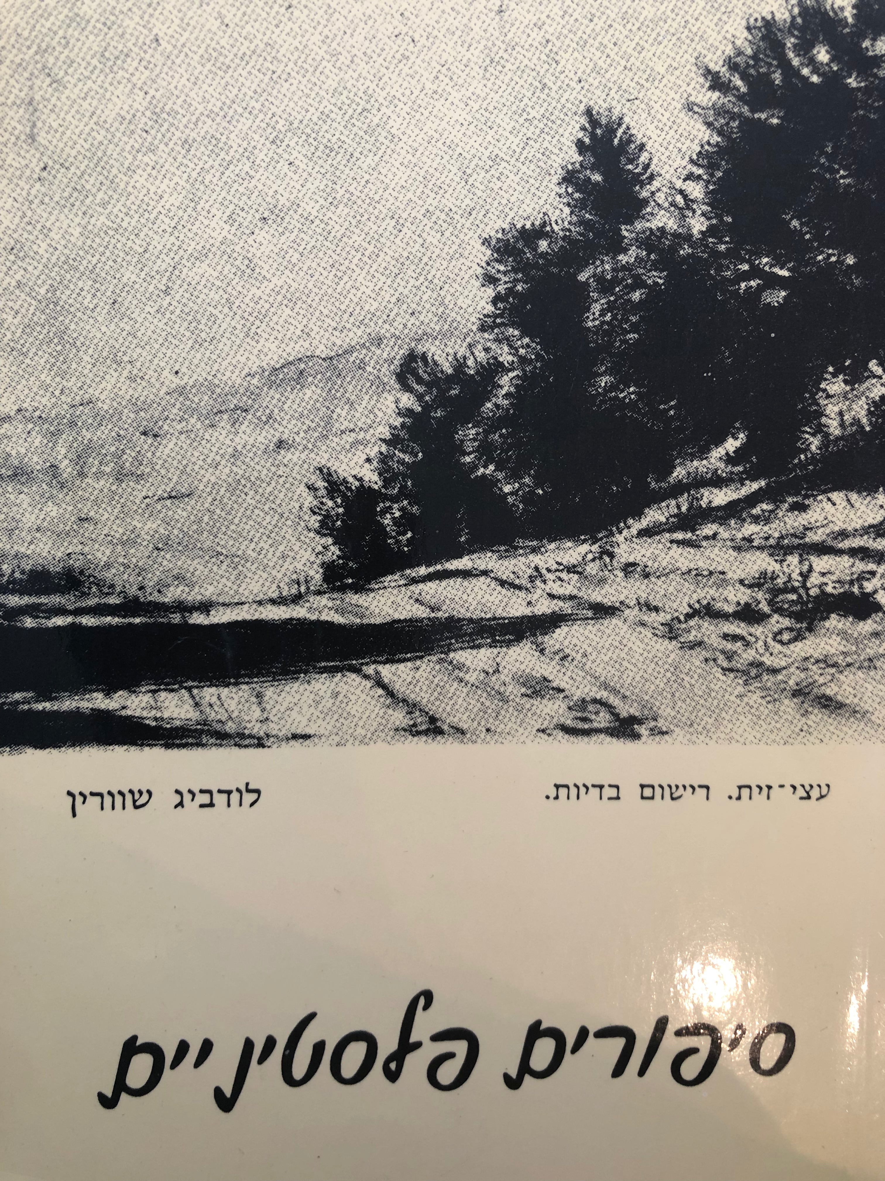 סיפורים פלסטיניים