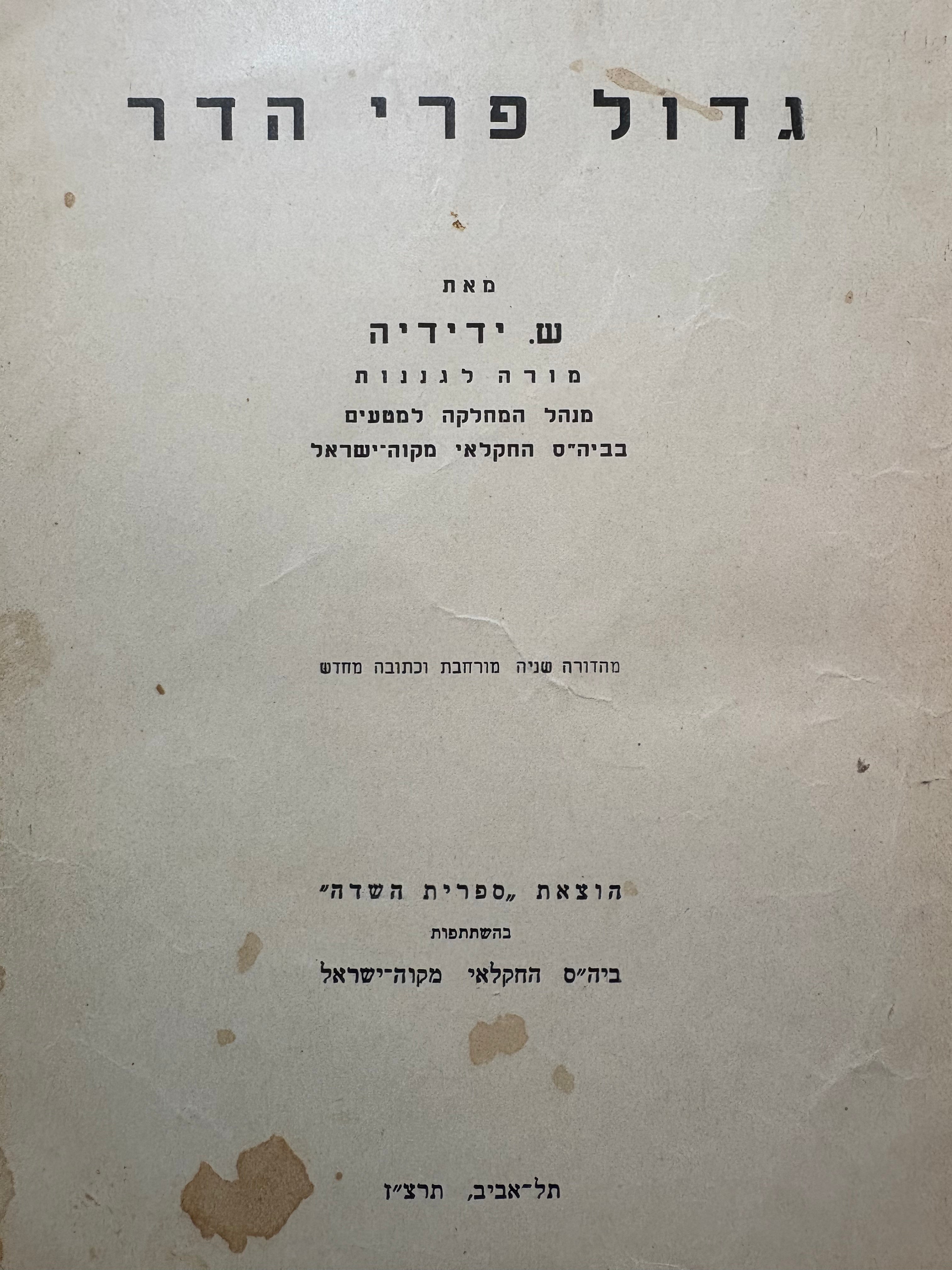 גדול פרי הדר