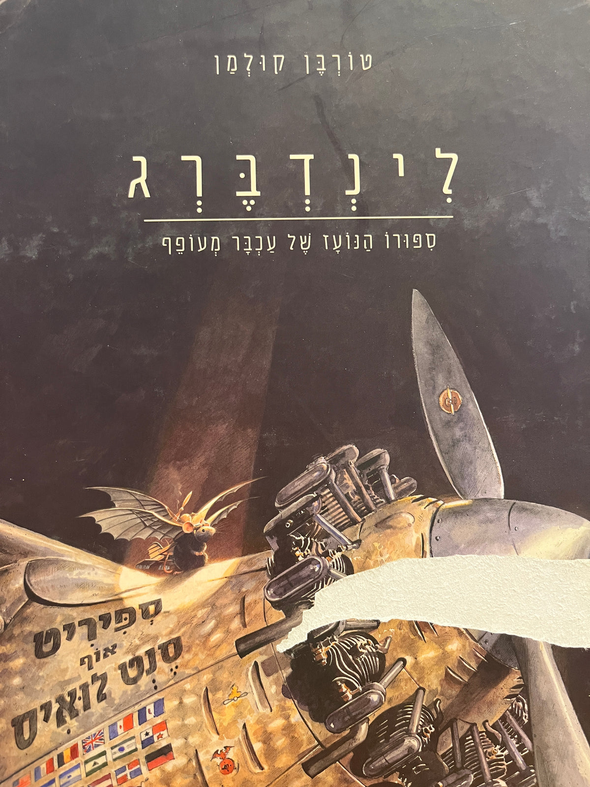 לינדברג / ספורו הנועז של עכבר מעופף
