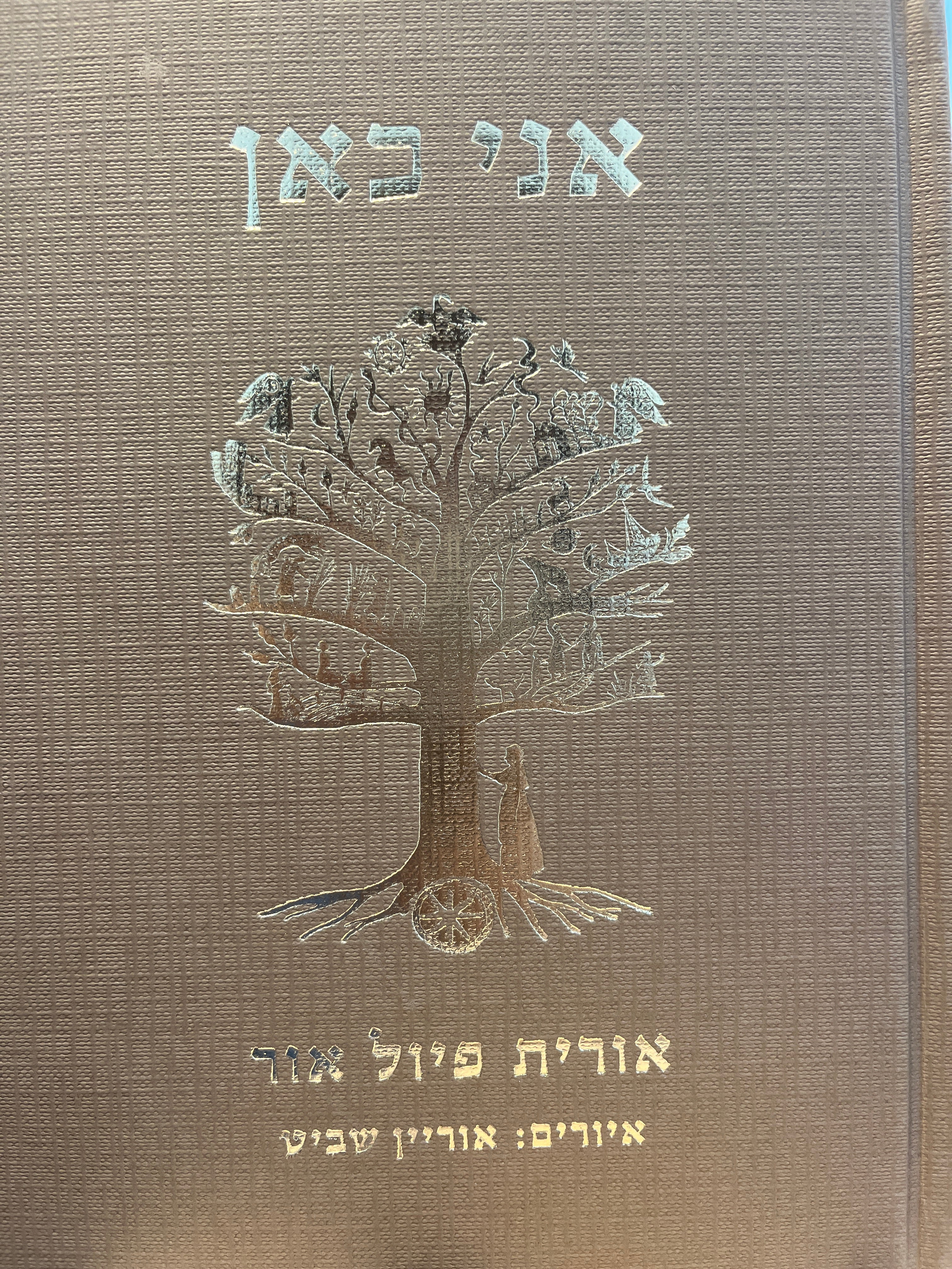אני כאן