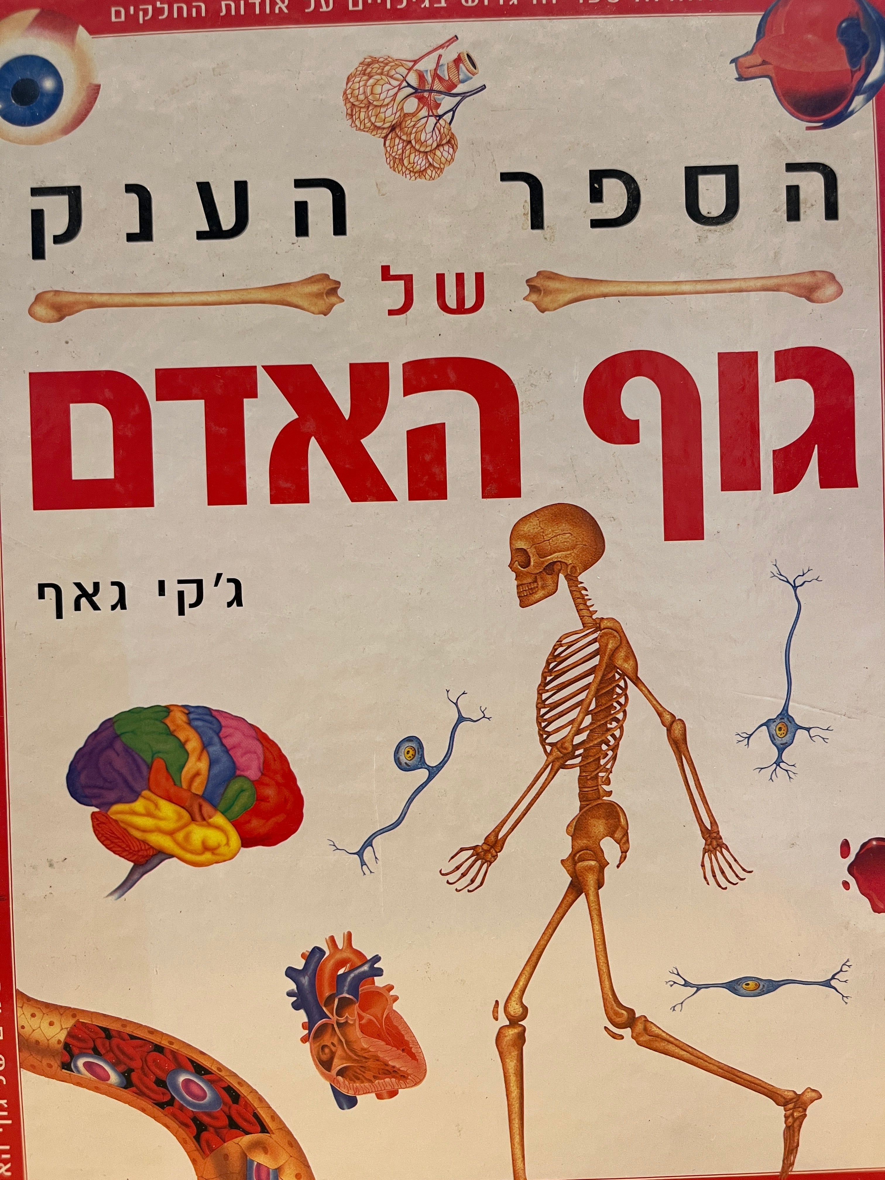 הספר הענק של גוף האדם