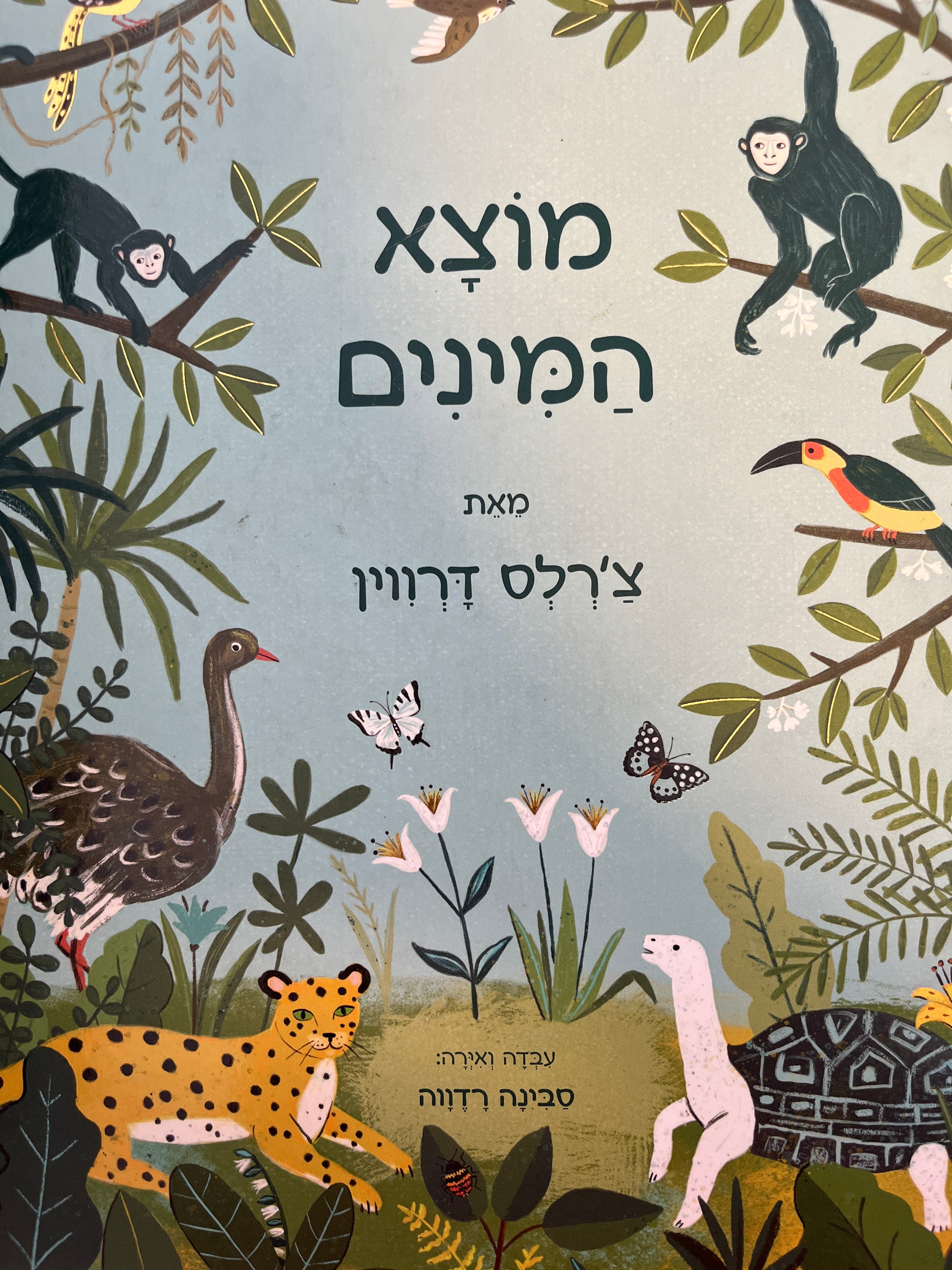 מוצא המינים / עבדה ואירה סבינה רדווה