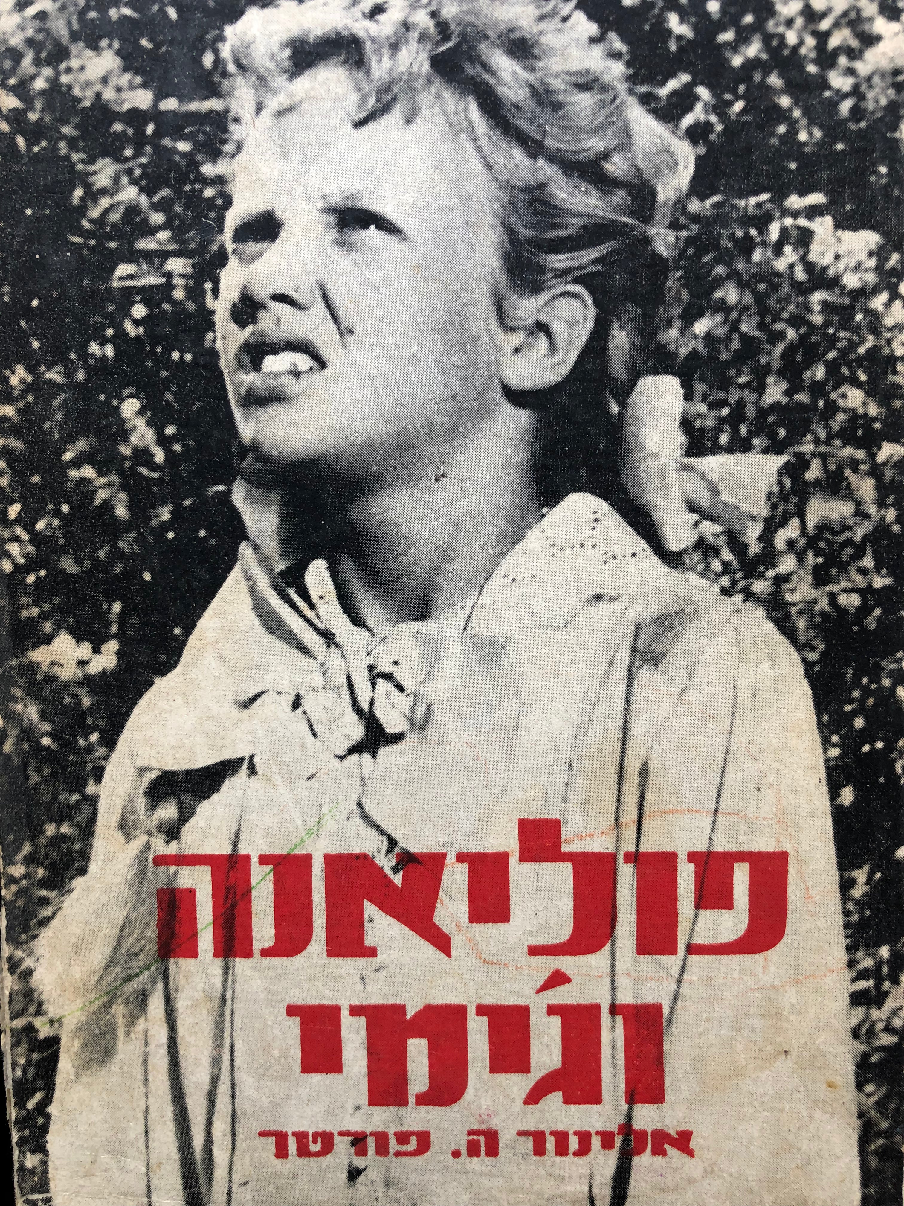 פוליאנה וג'ימי