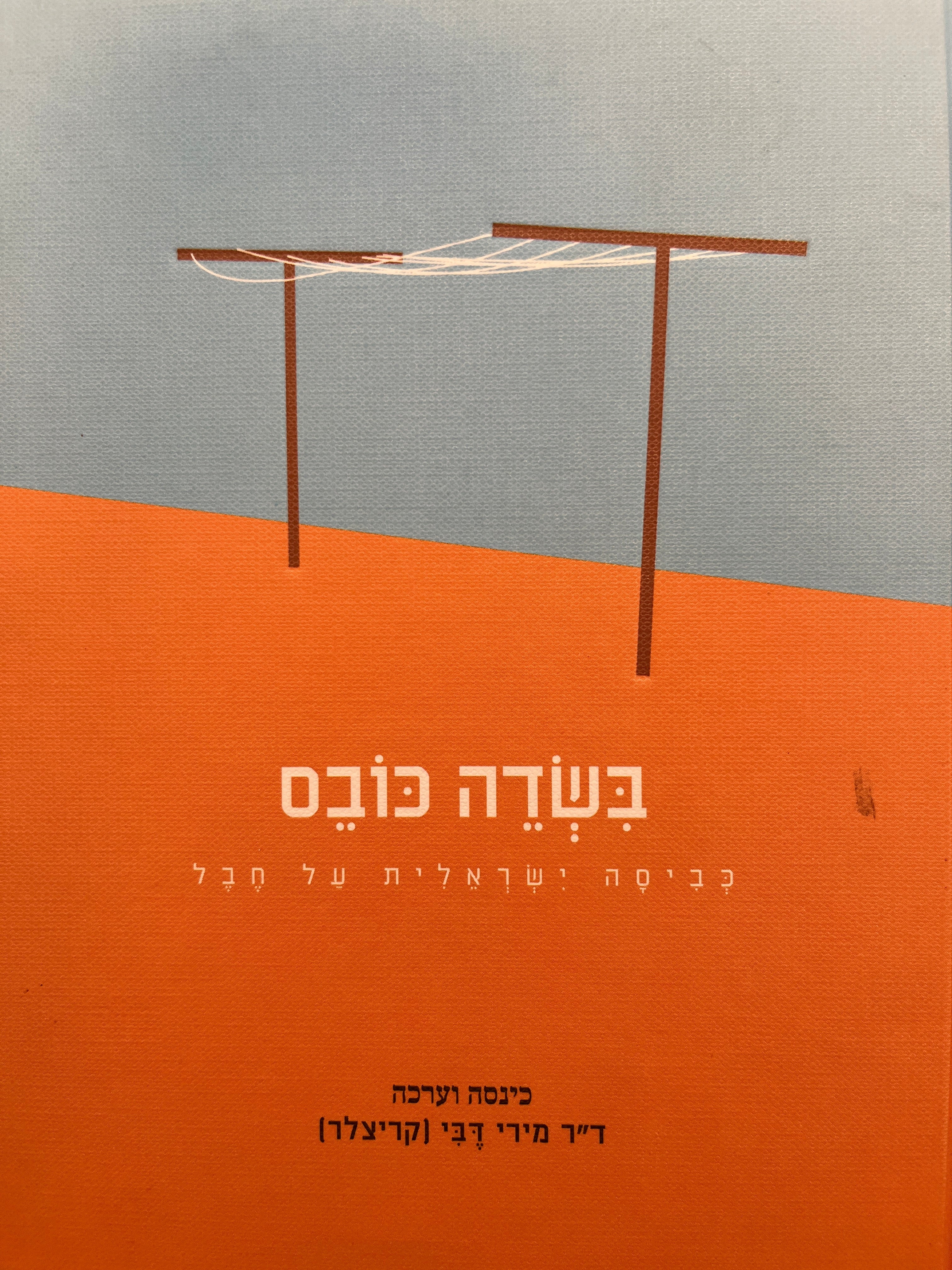 בשדה כובס / כביסה ישראלית על חבל