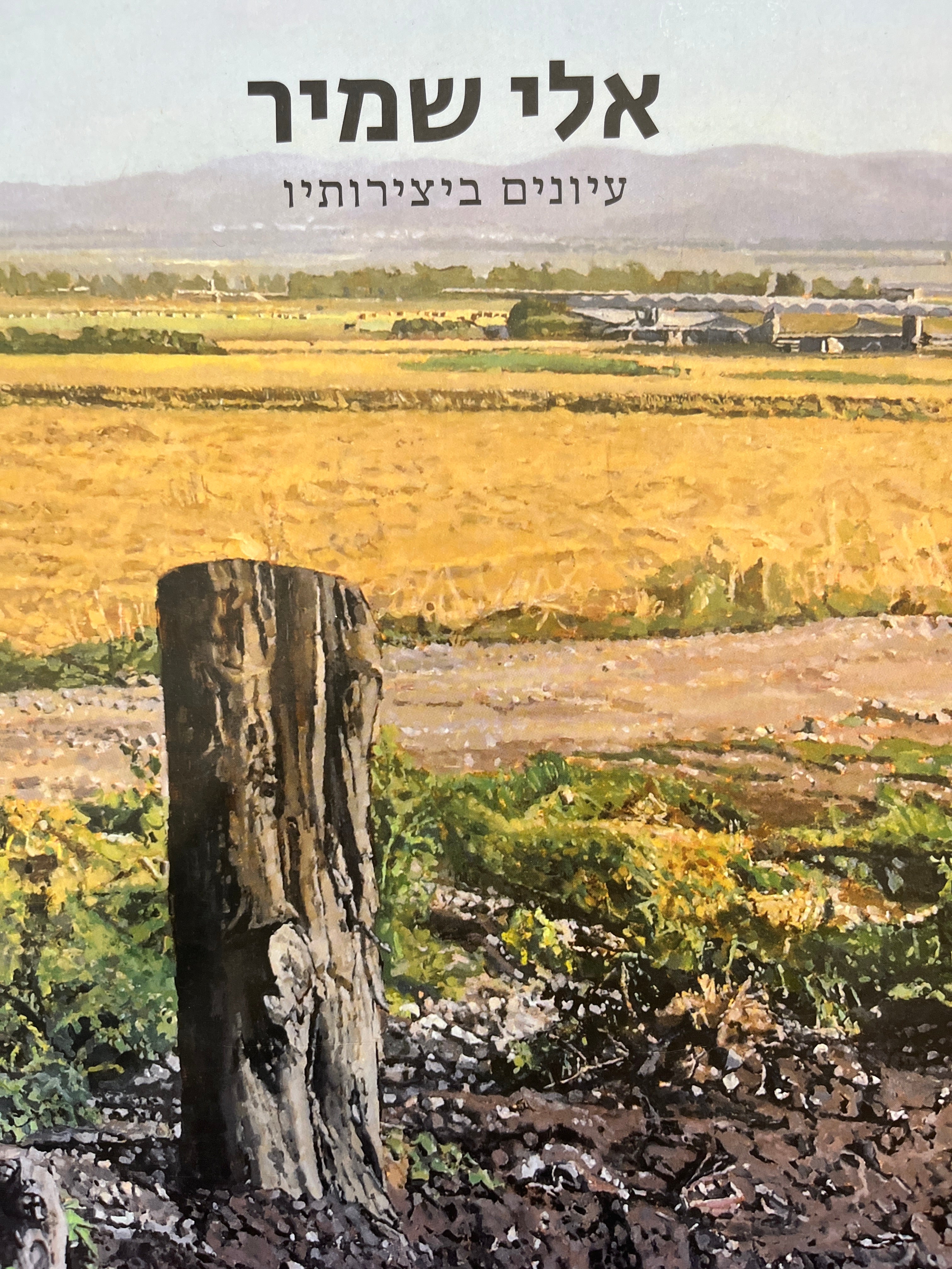אלי שמיר / עיונים ביצירותיו
