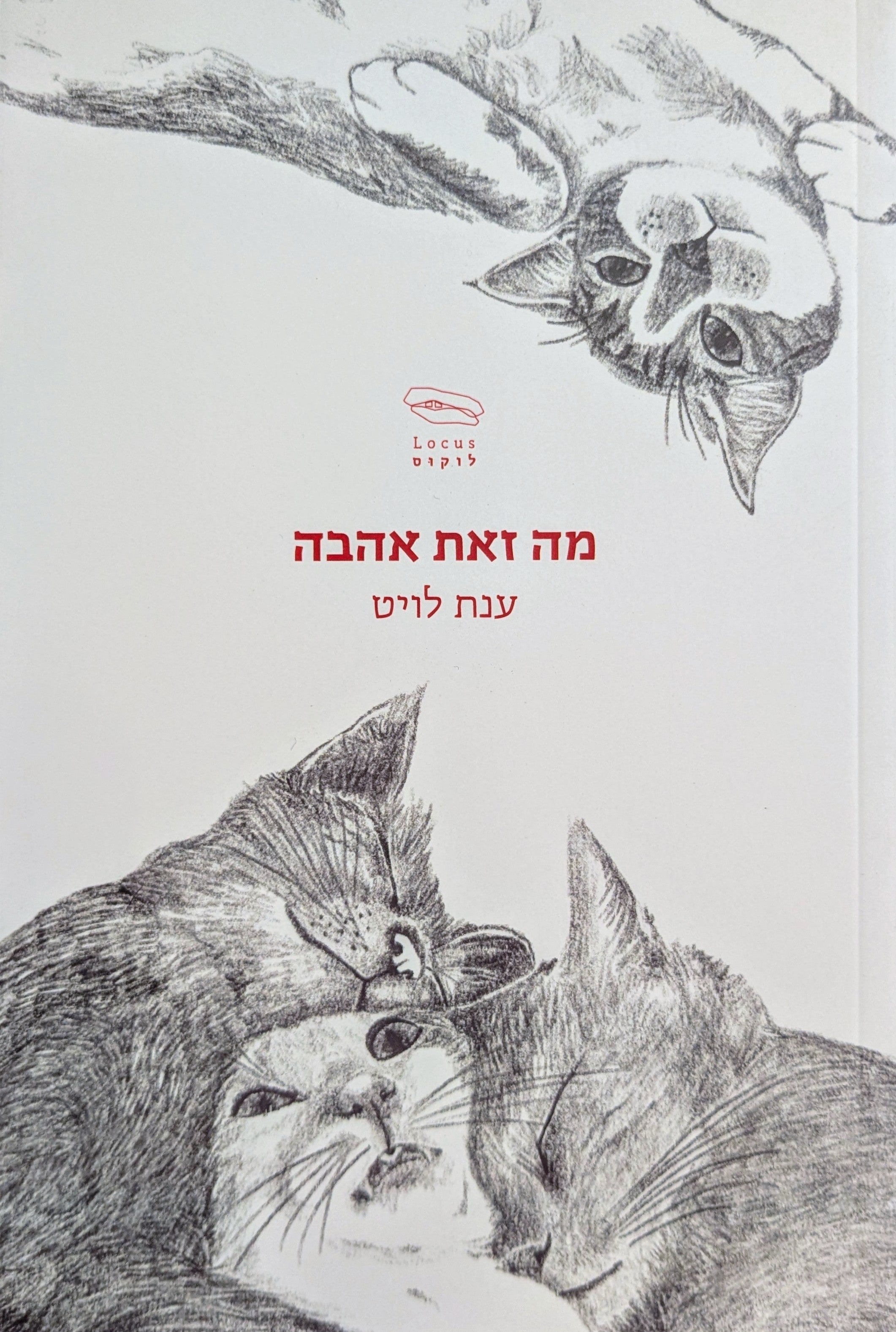 מה זאת אהבה