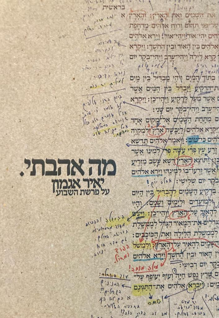 מה אהבתי. יאיר אגמון על פרשת השבוע
