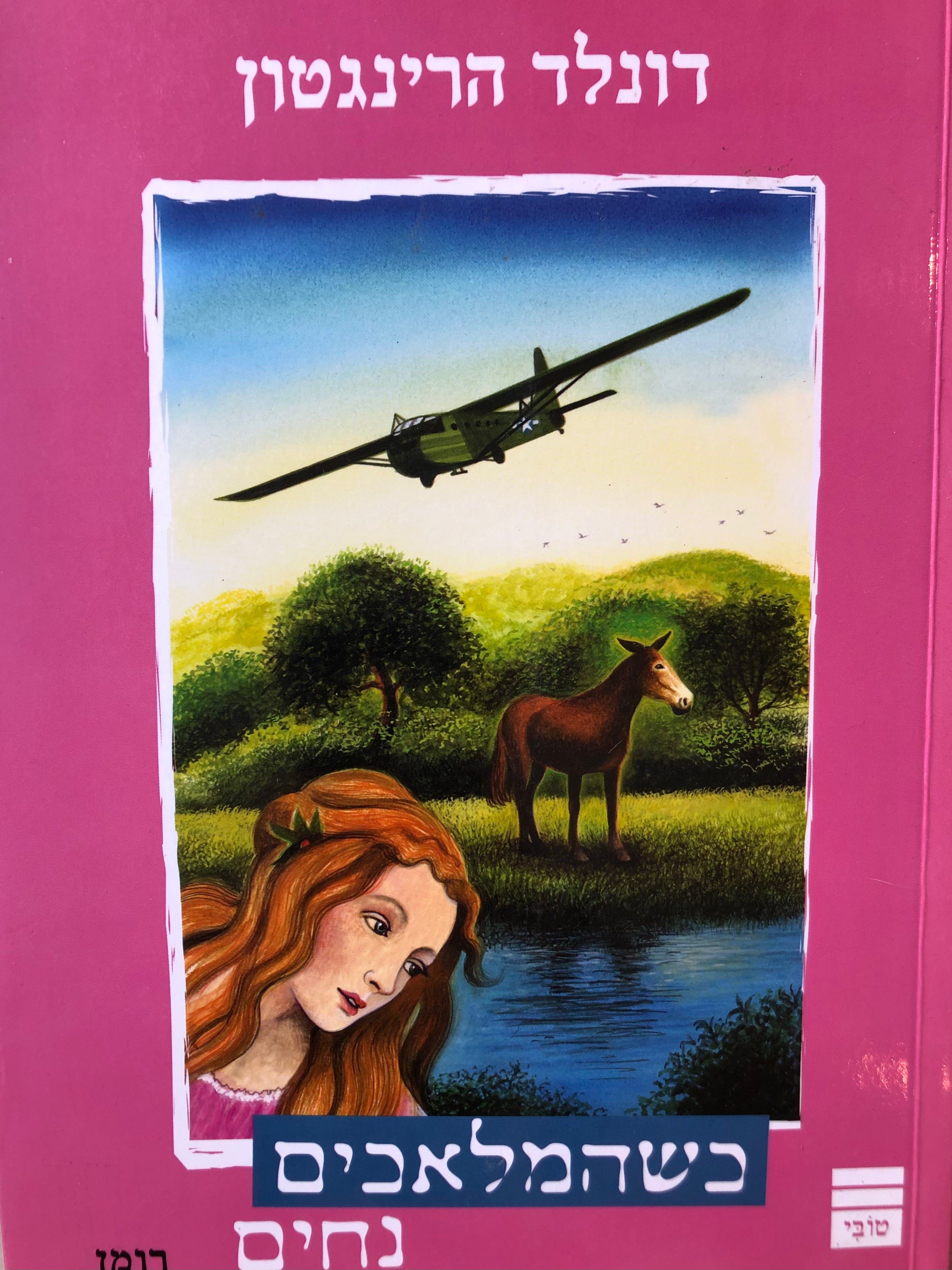 כשהמלאכים נחים: רומן