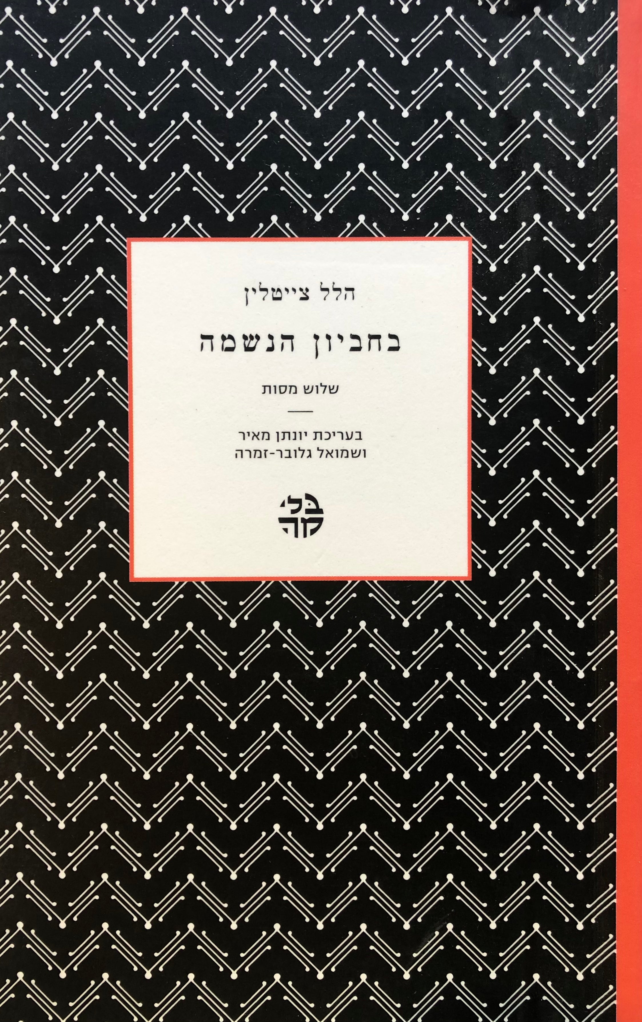 בחביון הנשמה/ שלוש מסות