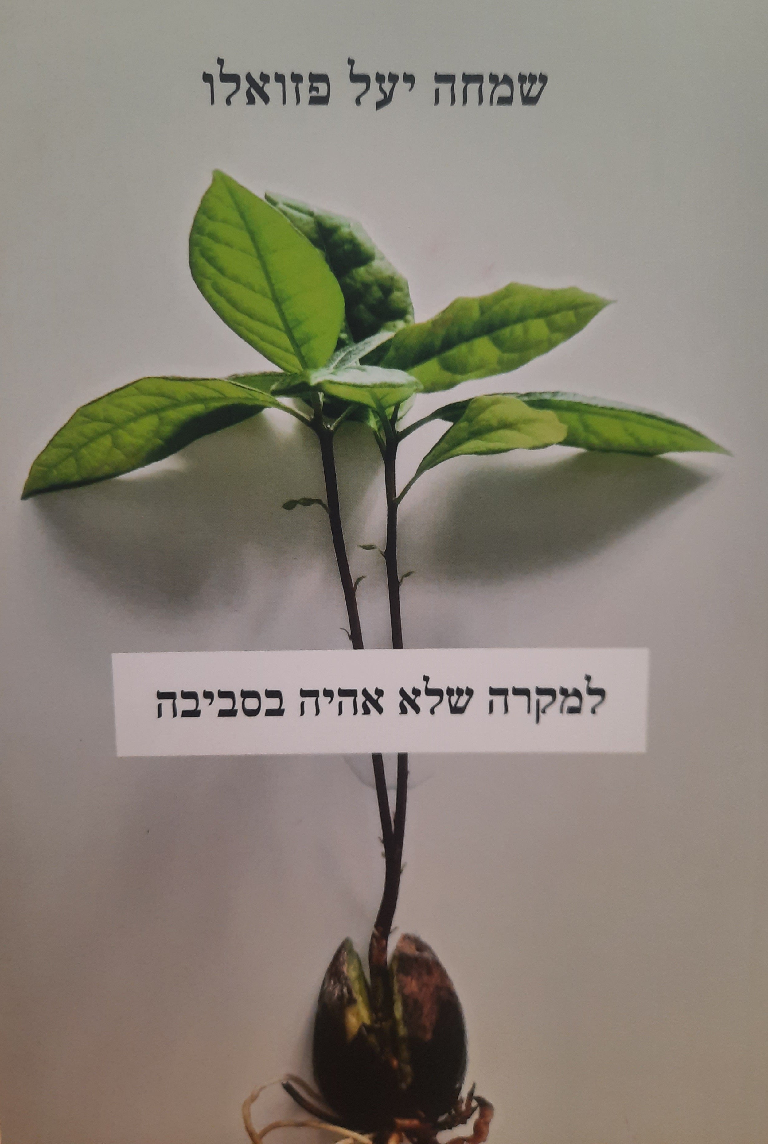 למקרה שלא אהיה בסביבה