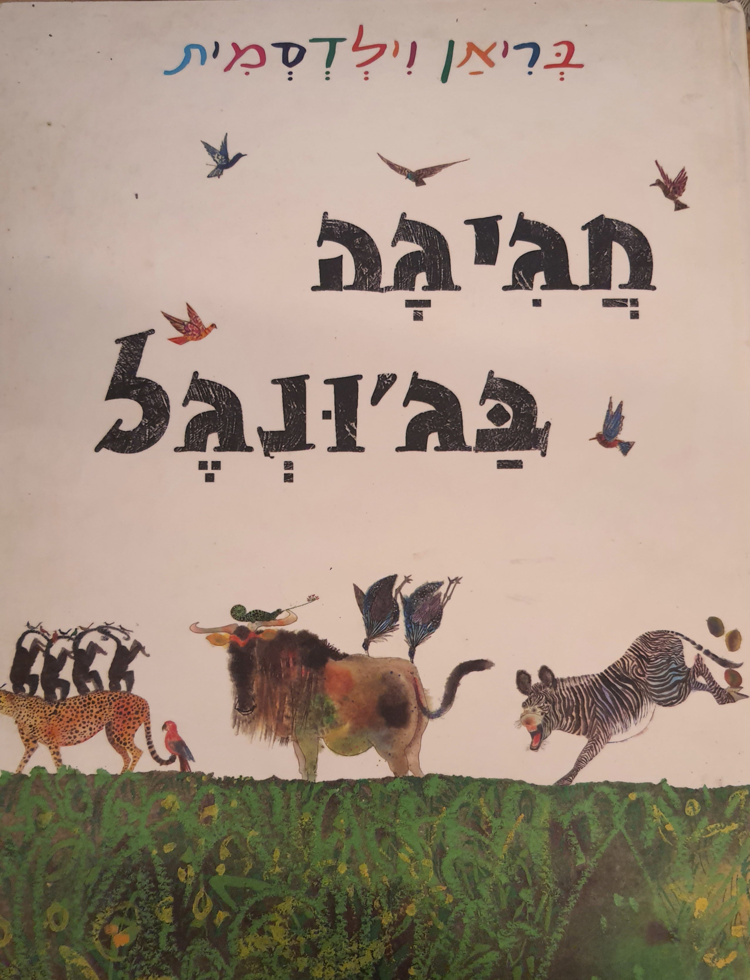 חגיגה בג'ונגל