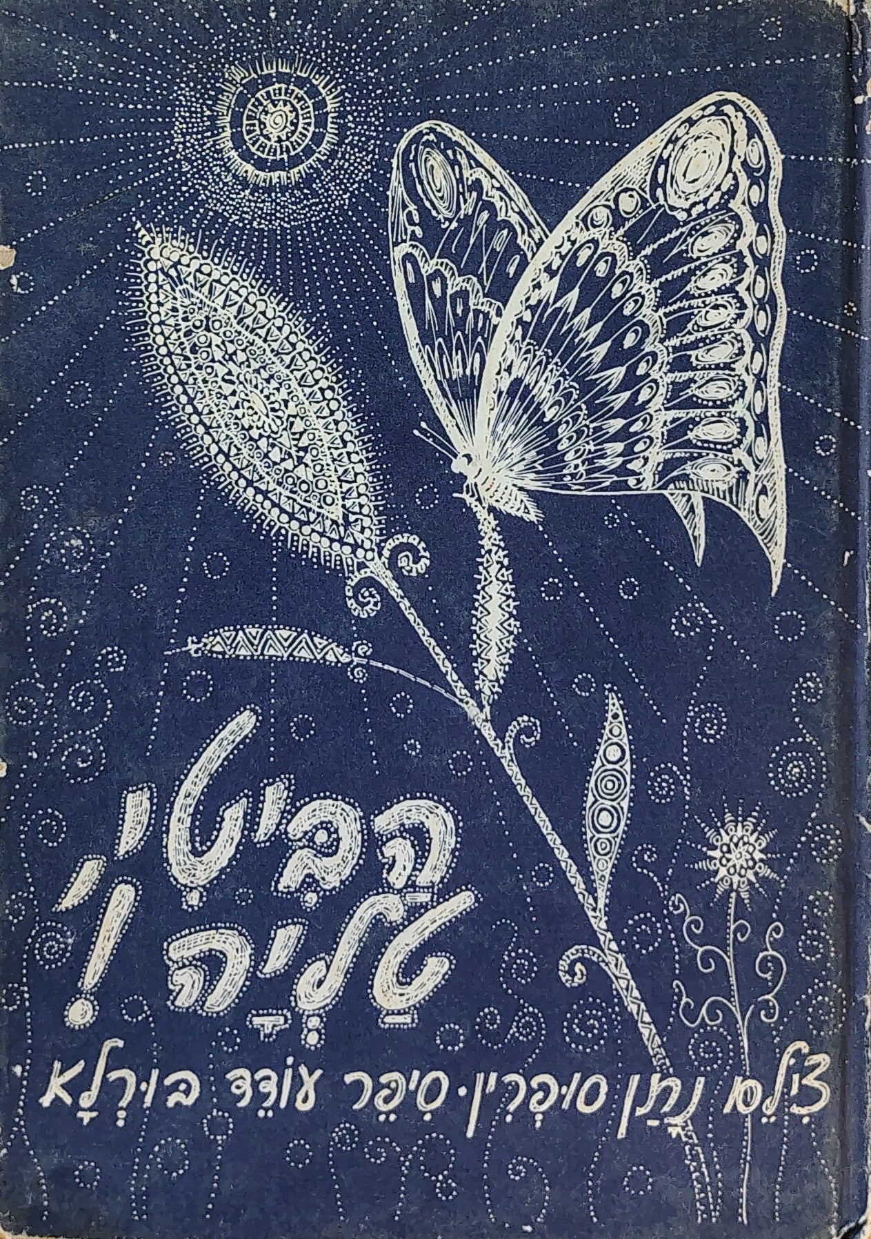 הביטי, טליה! / צילם: נתן סופרין