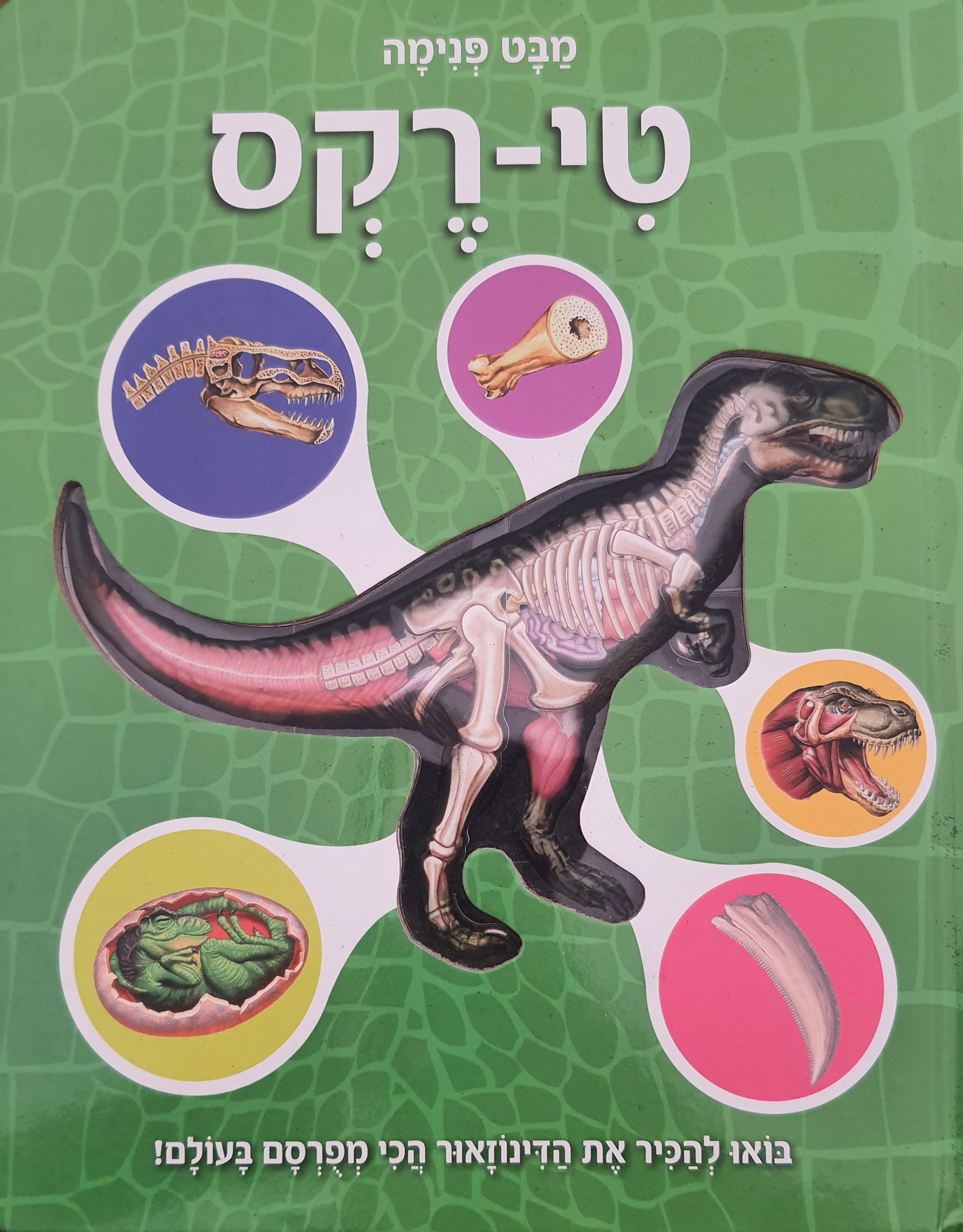 טי- רקס / מבט פנימה