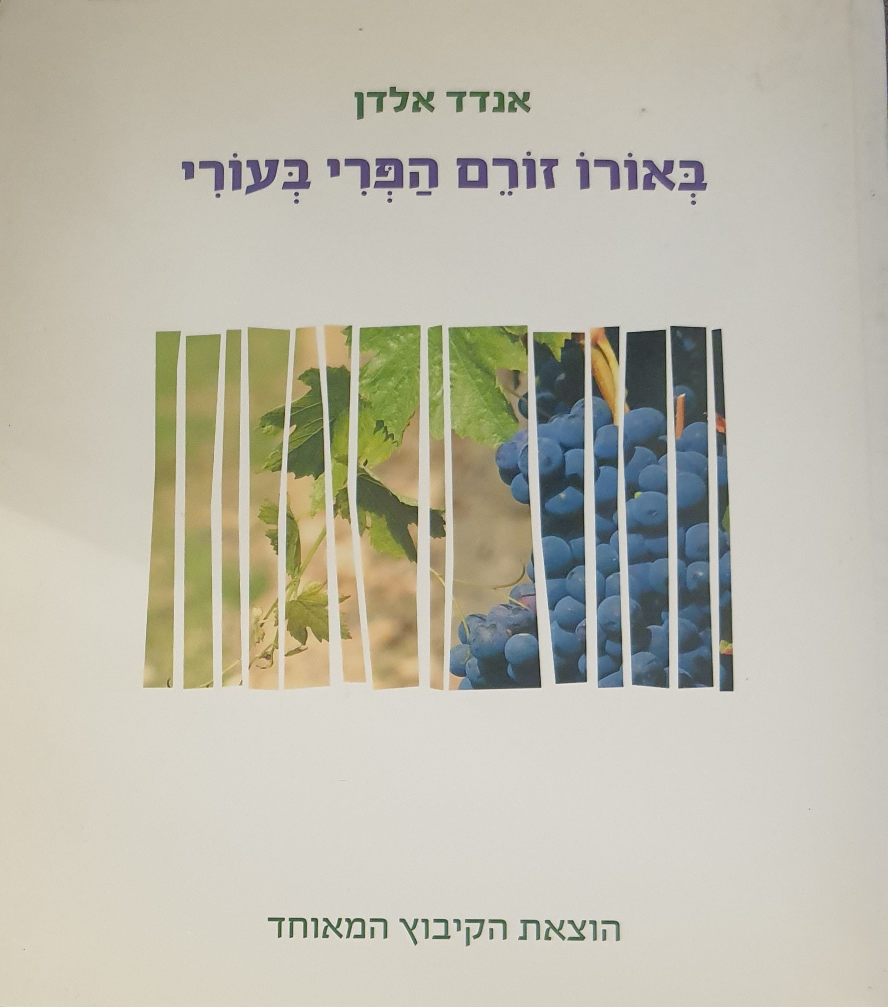 באורו זורם הפרי בעורי