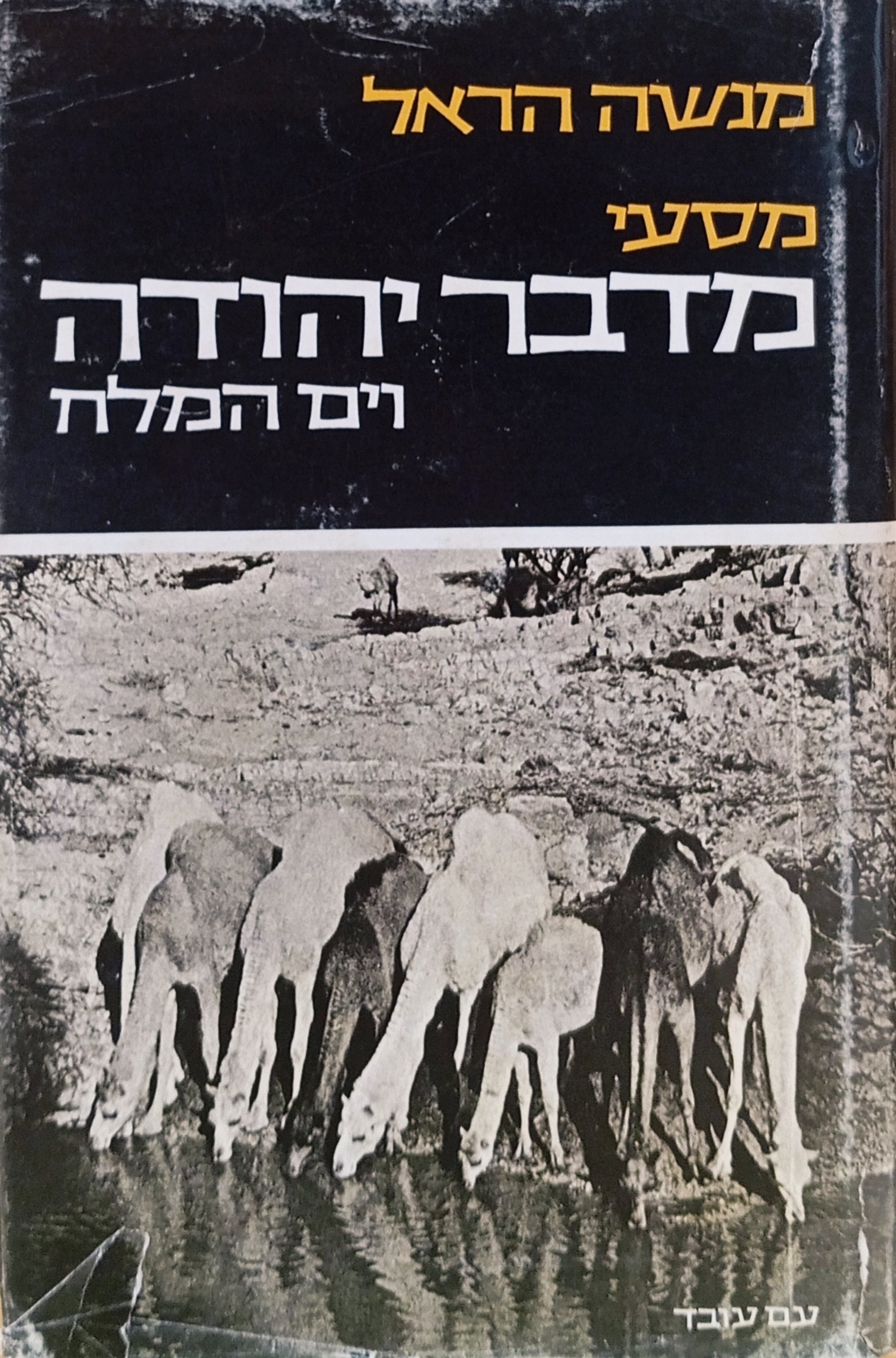 מסעי מדבר יהודה וים-המלח