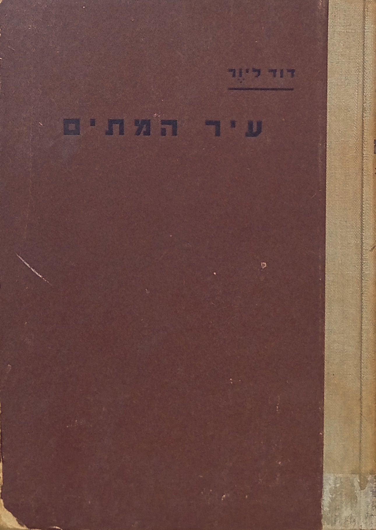 עיר המתים (השמדת היהודים באיזור זגלמביה)