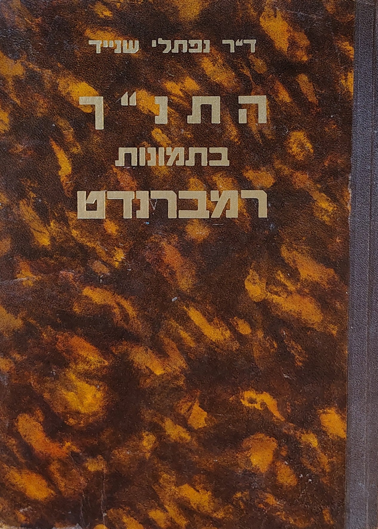 התנ"ך בתמונות רמברנדט