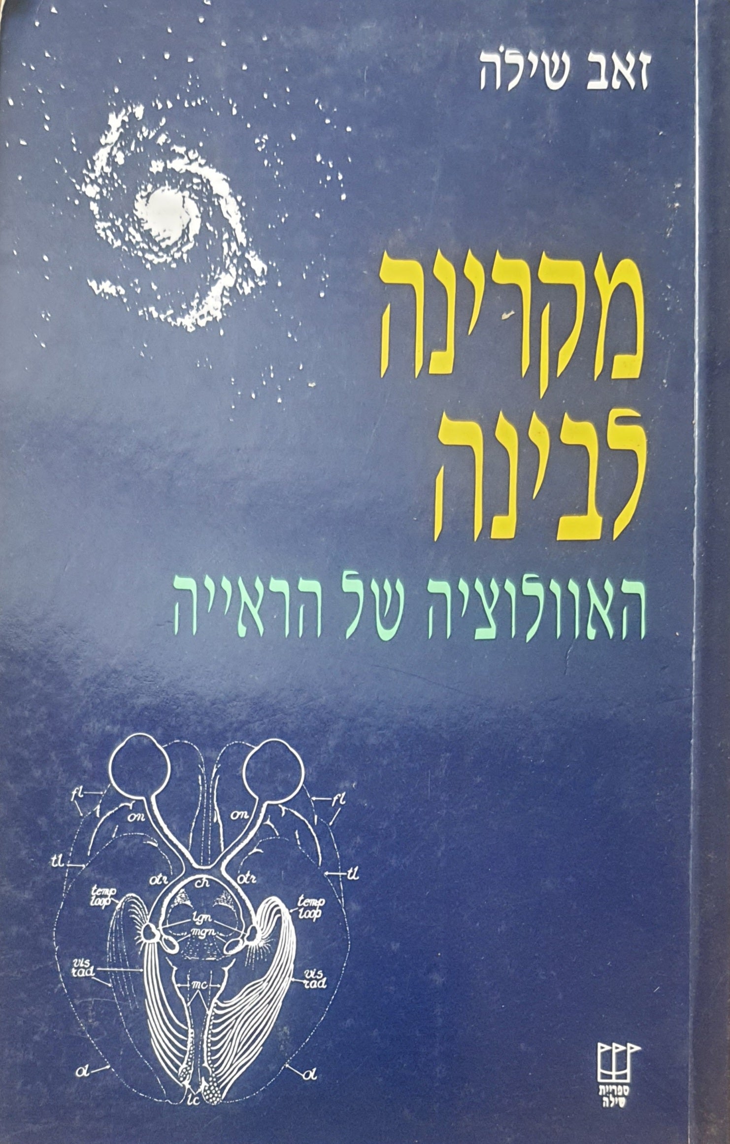 מקרינה לבינה / האוולוציה של הראייה