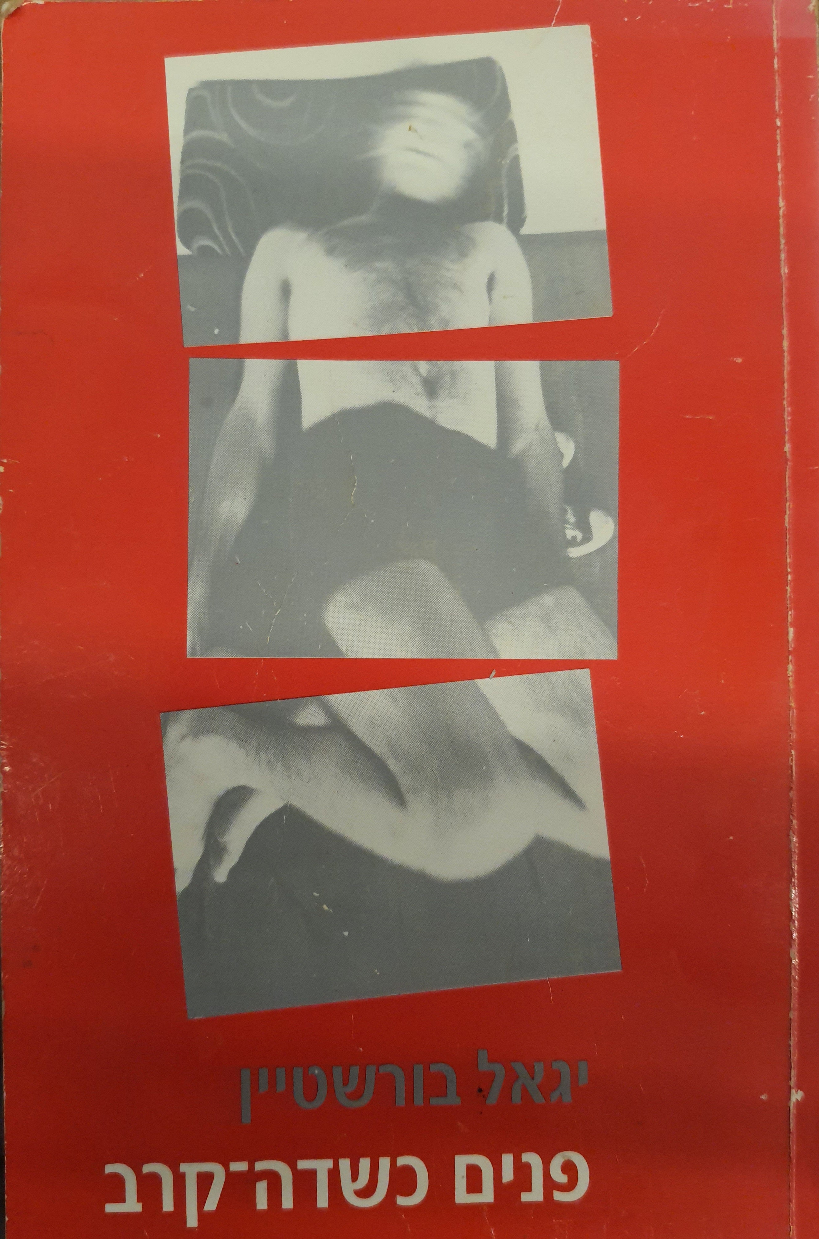 פנים כשדה-קרב