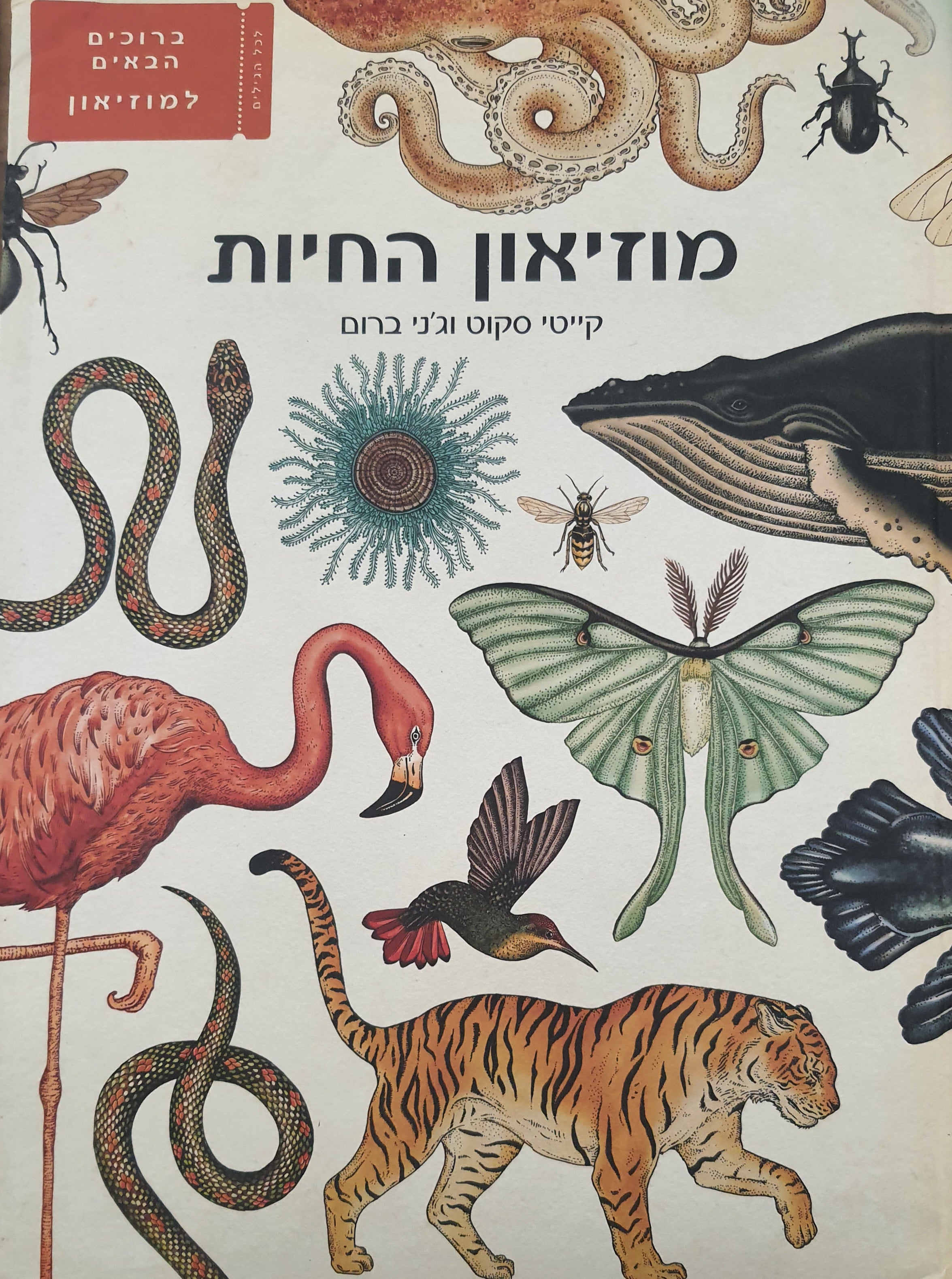 מוזיאון החיות