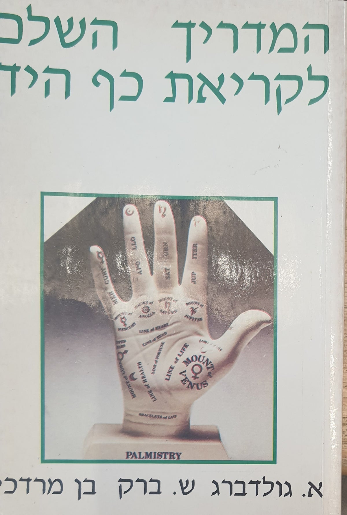 המדריך השלם לקריאת כף היד