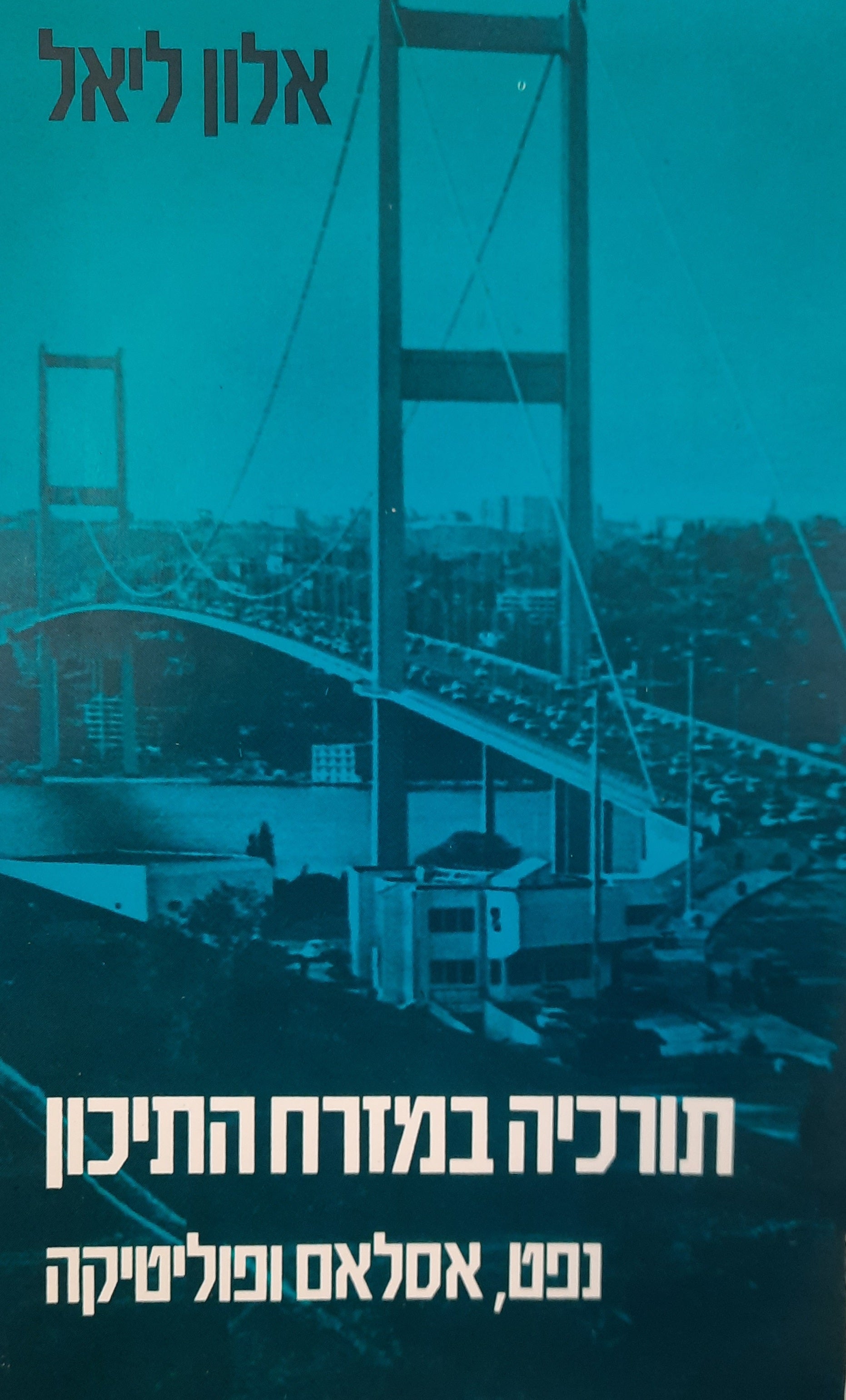 תורכיה במזרח התיכון / נפט, אסלאם ופוליטיקה