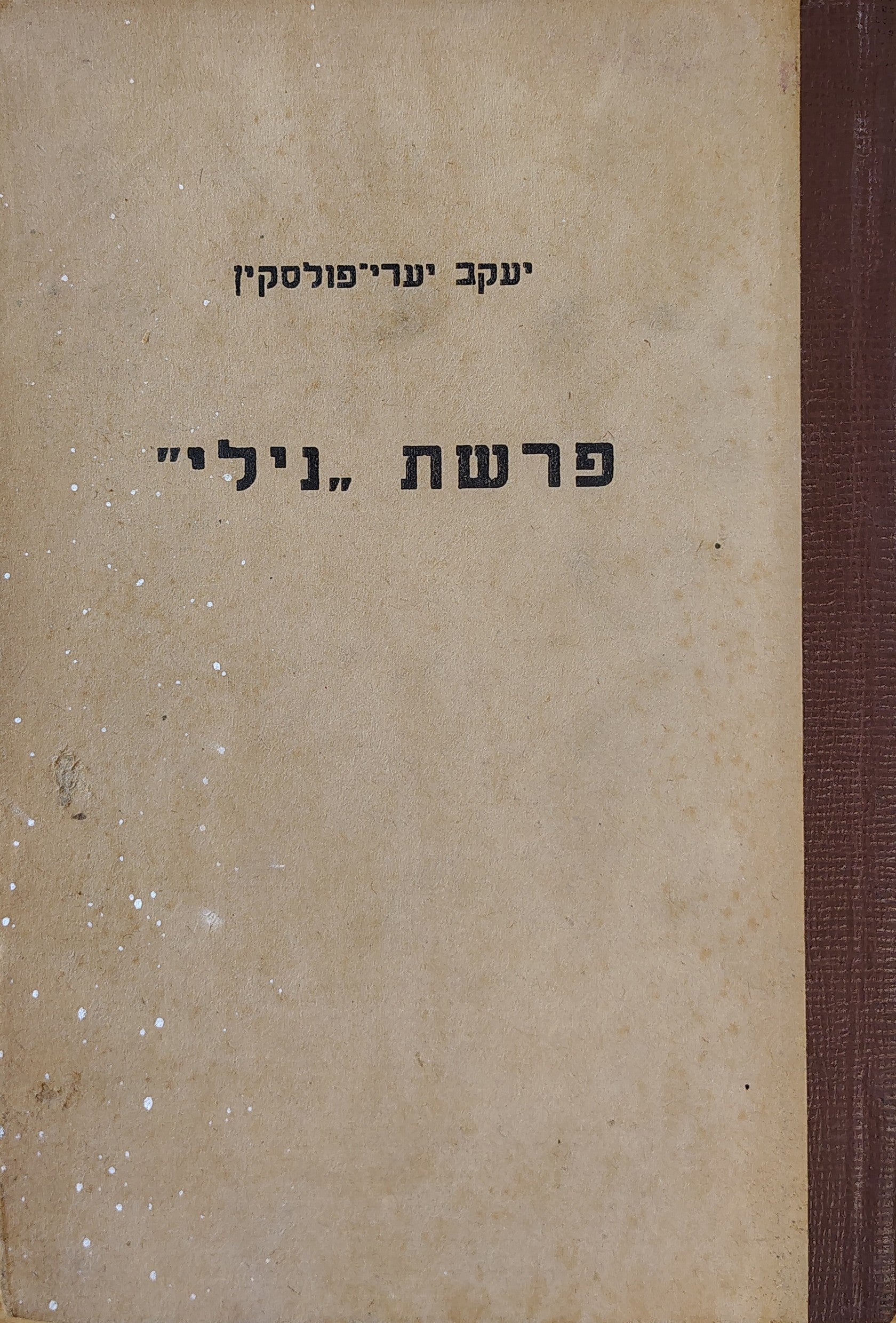 פרשת נילי
