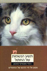 תשע הנשמות של החתול