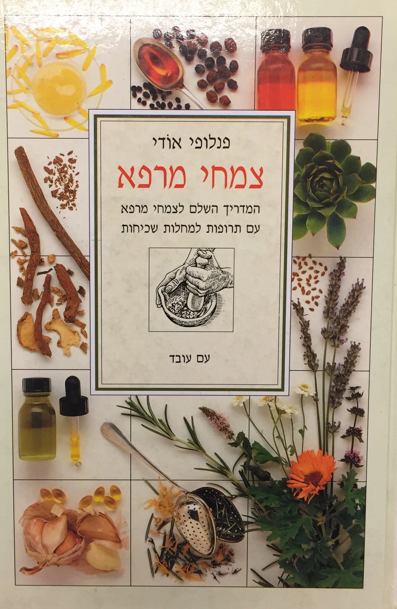 צמחי מרפא / המדריך השלם לצמחי מרפא עם תרופות למחלות שכיחות