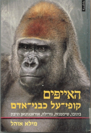 האייפים קופי על כבני אדם / בונובו שימפנזה גורילה אוראנגוטאן וגיבון