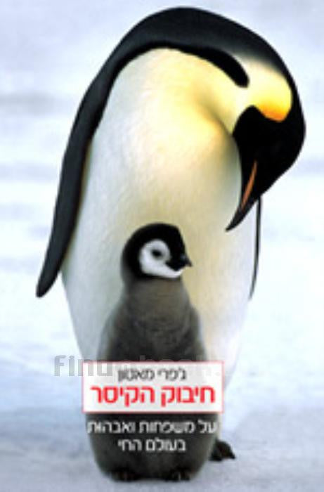 חיבוק הקיסר/ על משפחות ואבהות בעולם החי