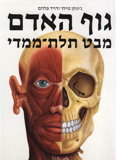 גוף האדם / מבט תלת ממדי