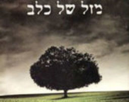 מזל של כלב