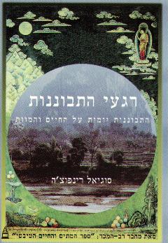 רגעי התבוננות: התבוננות יומית על החיים והמוות