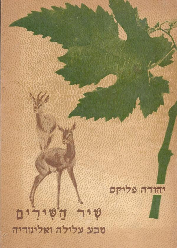 שיר השירים/ טבע עלילה ואליגוריה