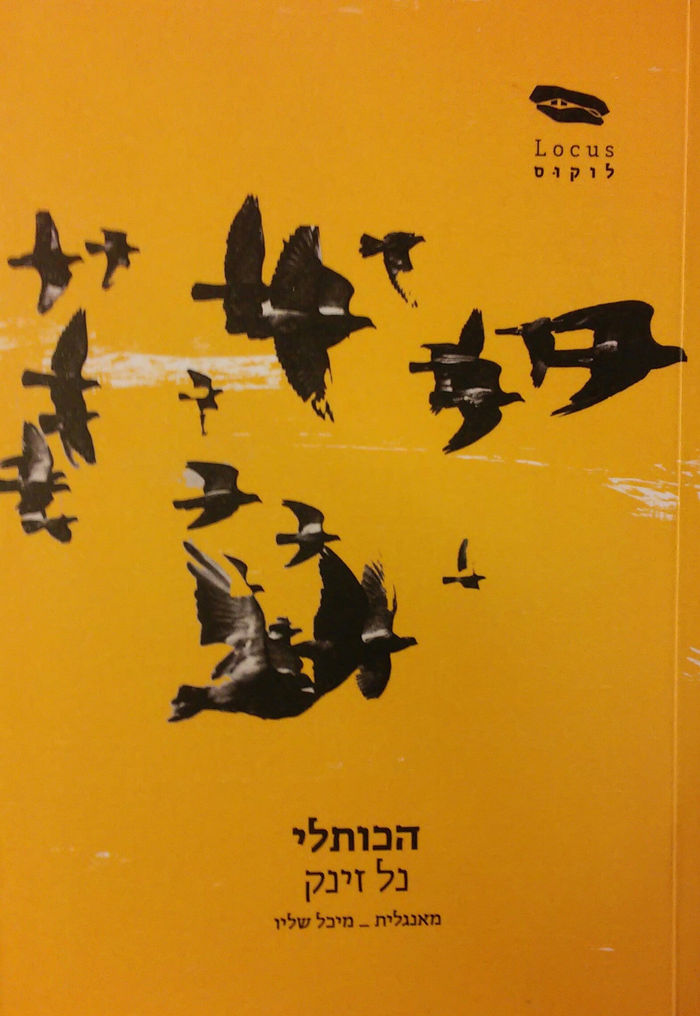 הכותלי