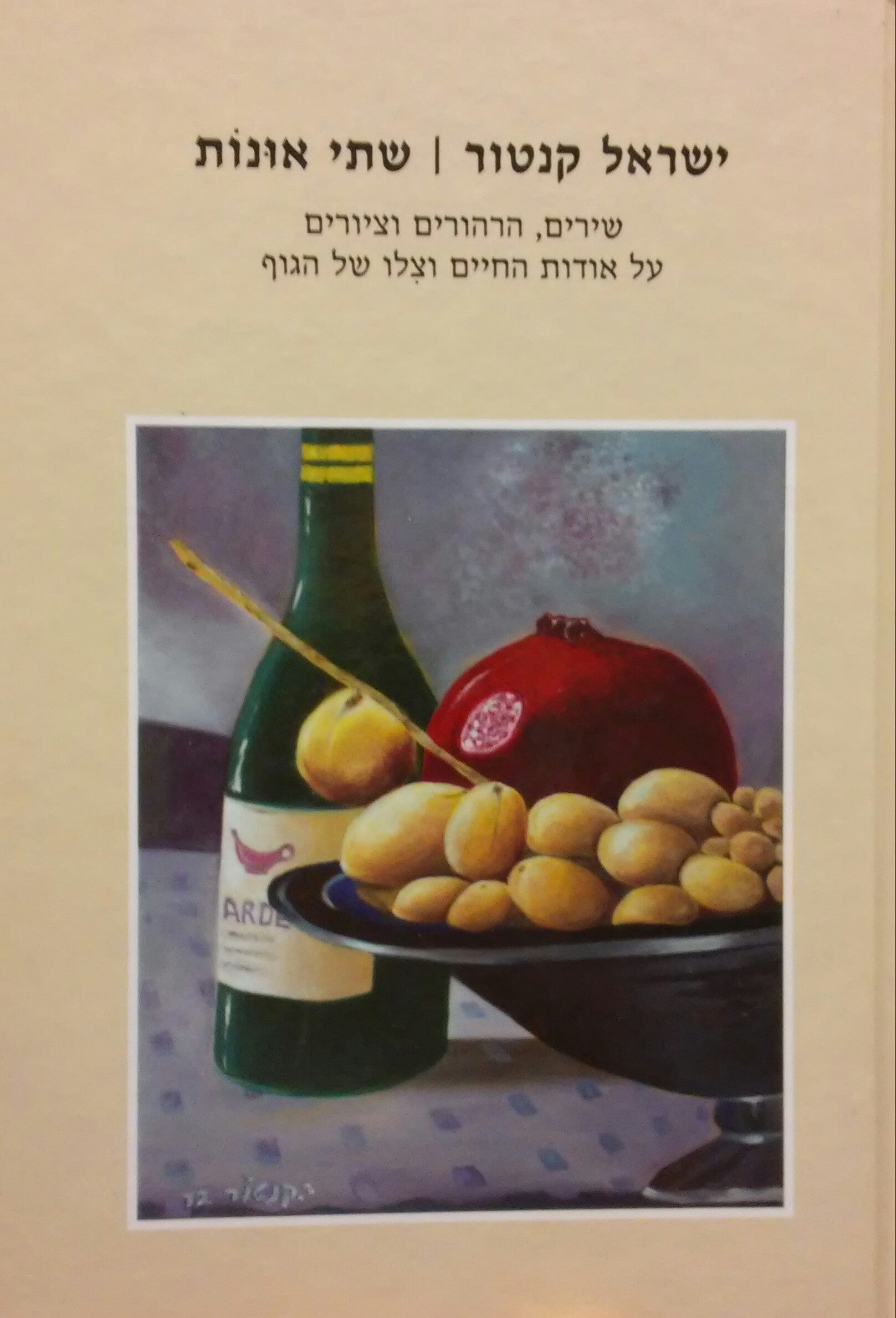שתי אונות / שירים הרהורים וציורים על אודות החיים וצלו של הגוף