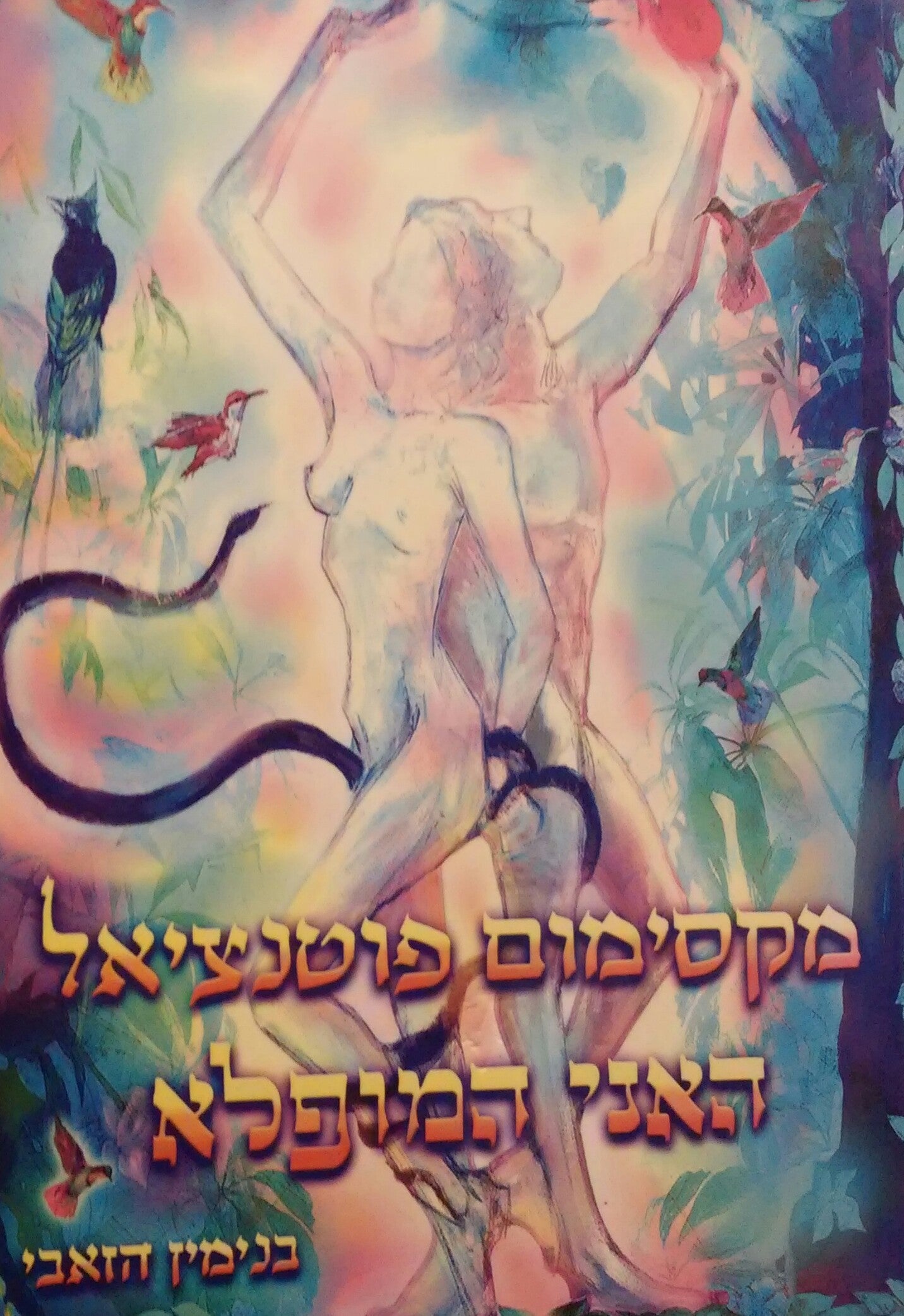מקסימום פוטנציאל / האני המופלא