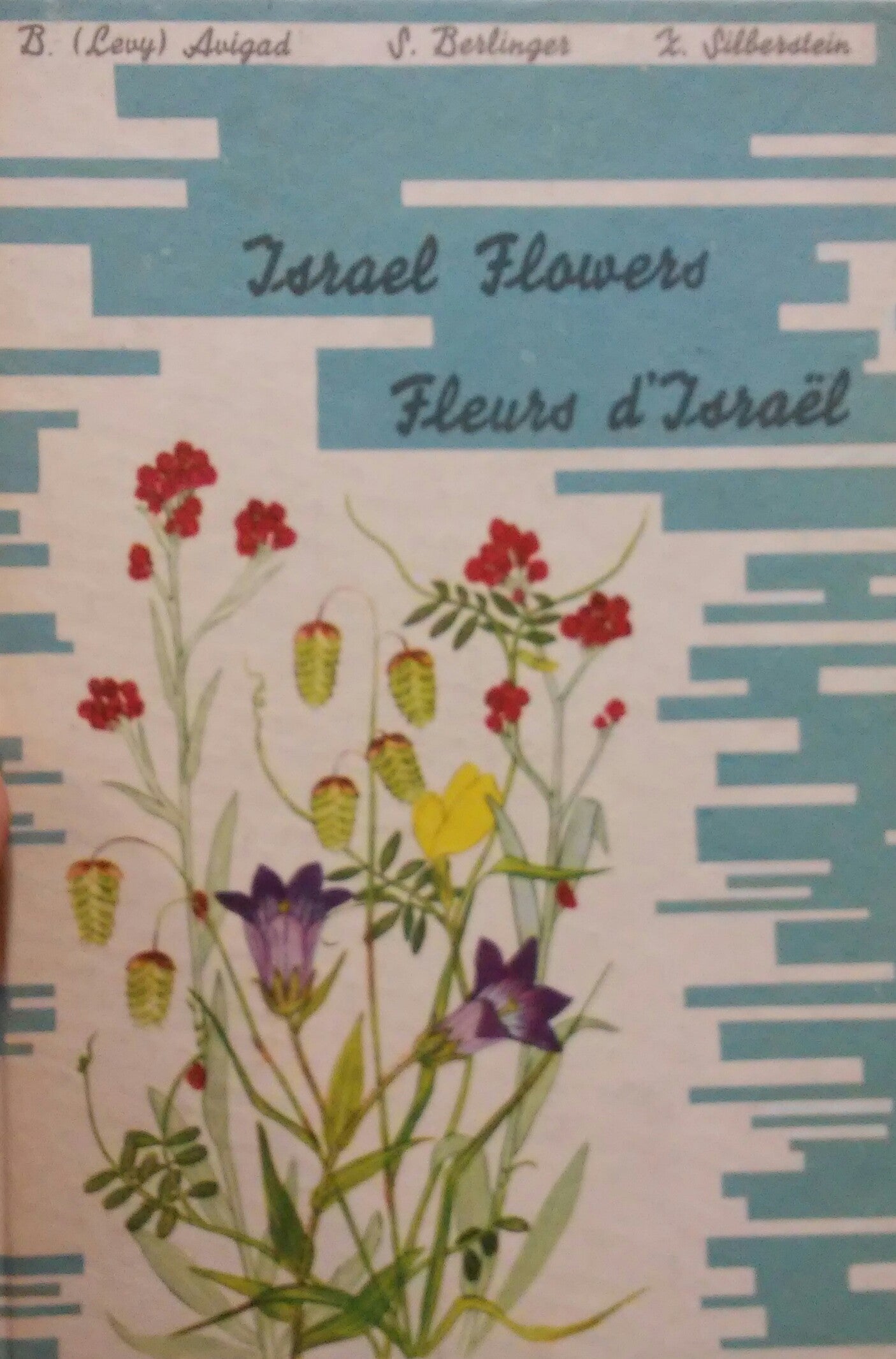 Israel Flowers / TWENTY FIVE WILD FLOWERS